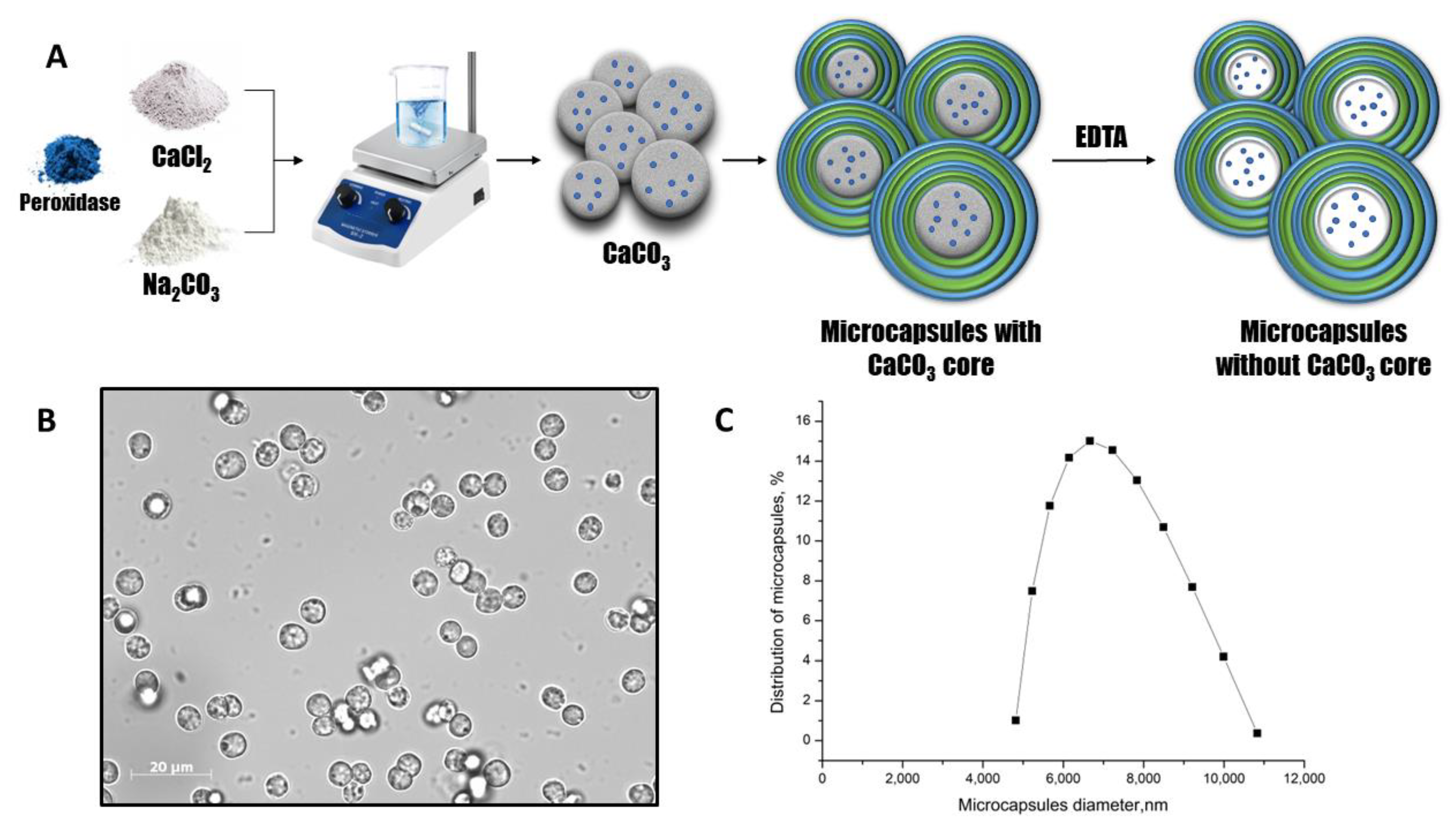 Ijms 24 06766 g001 Ijms 24 06766 g001