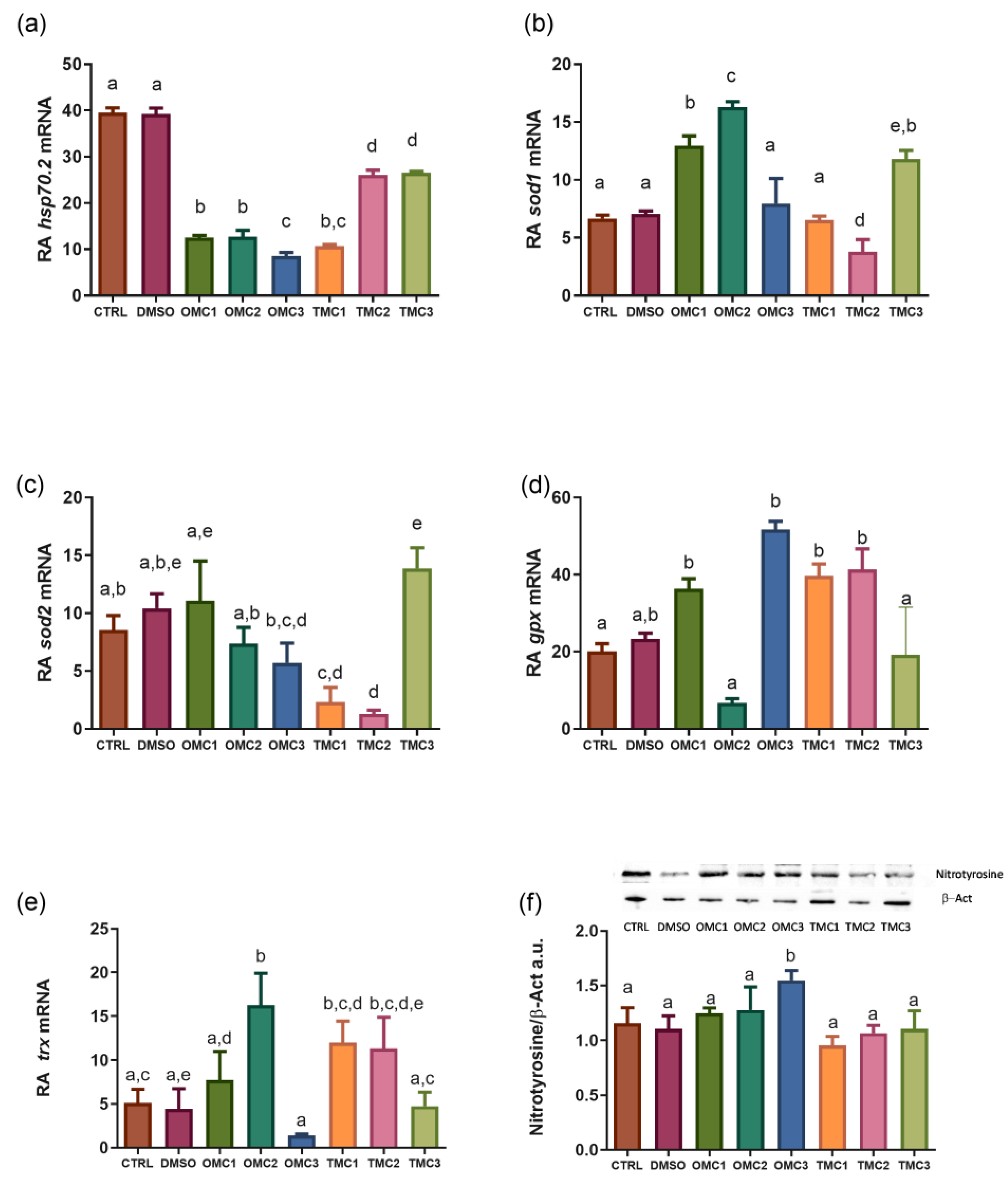 Ijms 24 06767 g004 Ijms 24 06767 g004