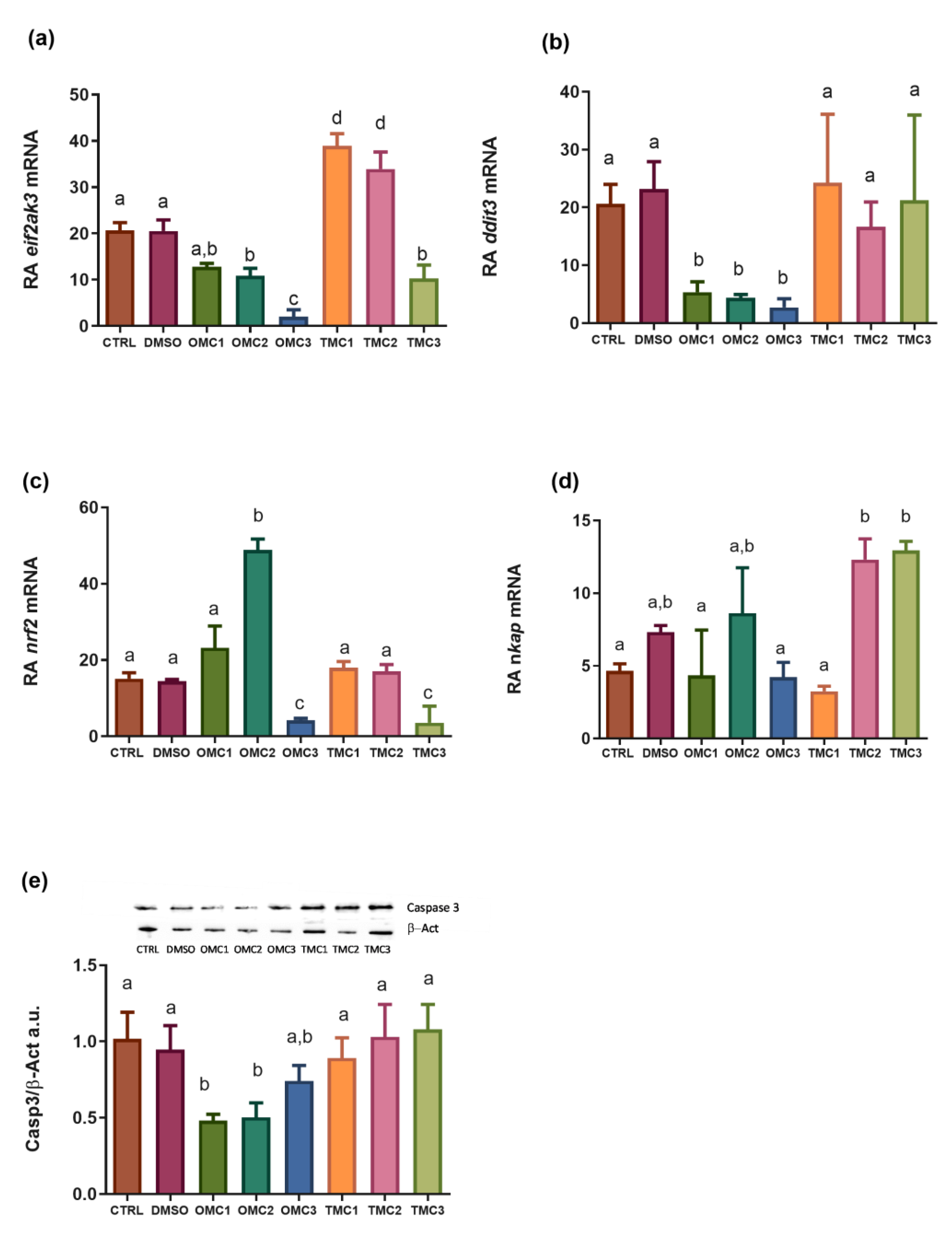 Ijms 24 06767 g005 Ijms 24 06767 g005