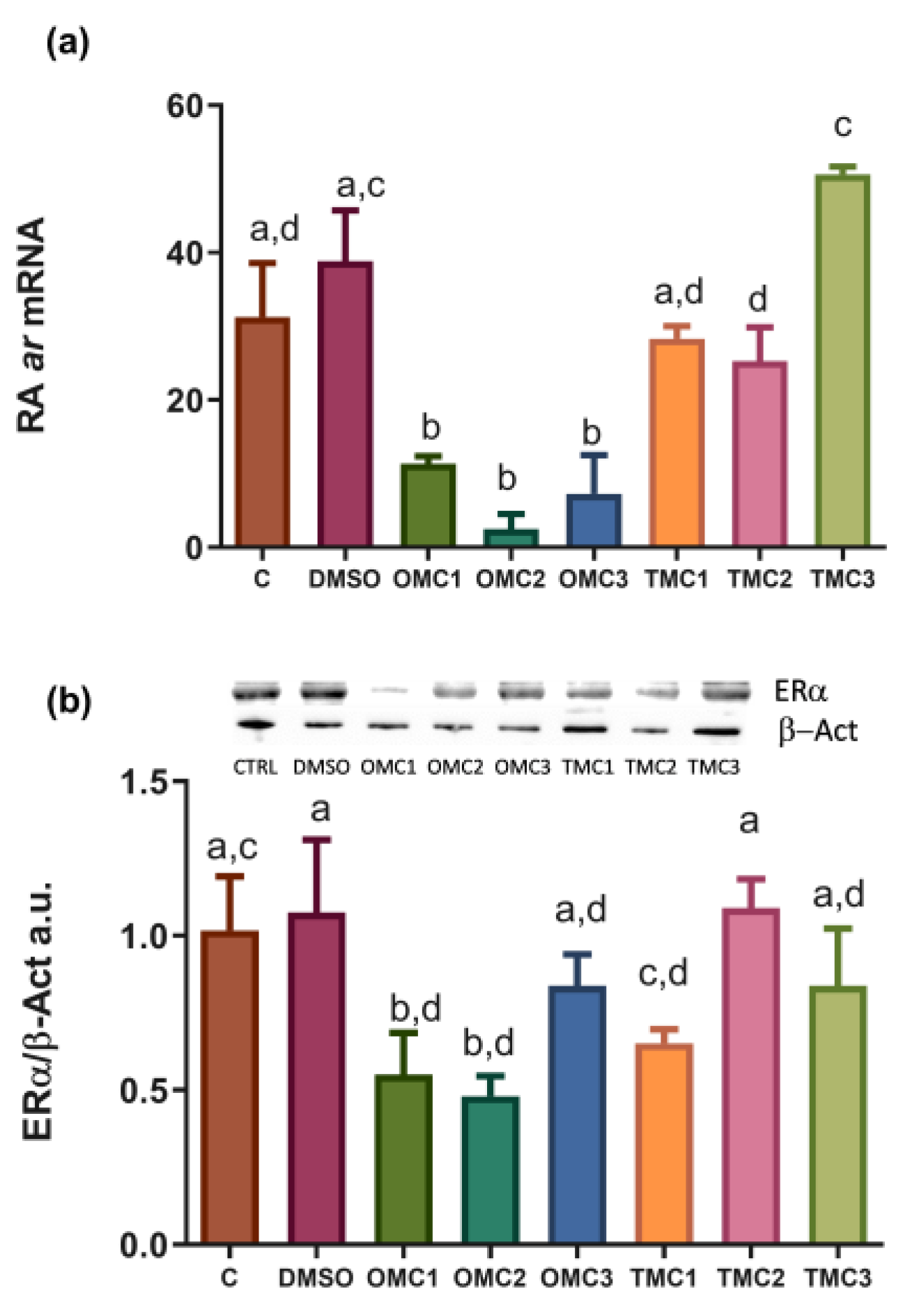 Ijms 24 06767 g006 Ijms 24 06767 g006
