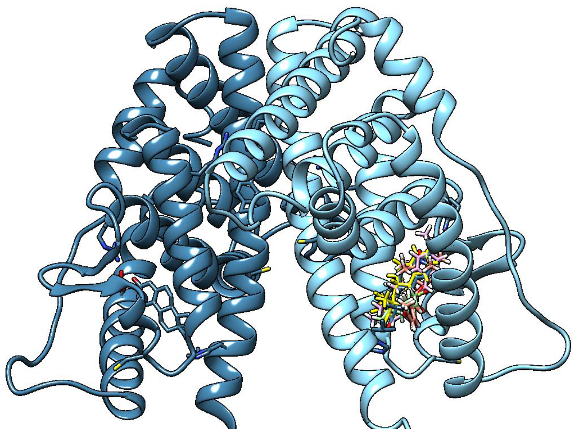 Ijms 24 06767 g007 Ijms 24 06767 g007