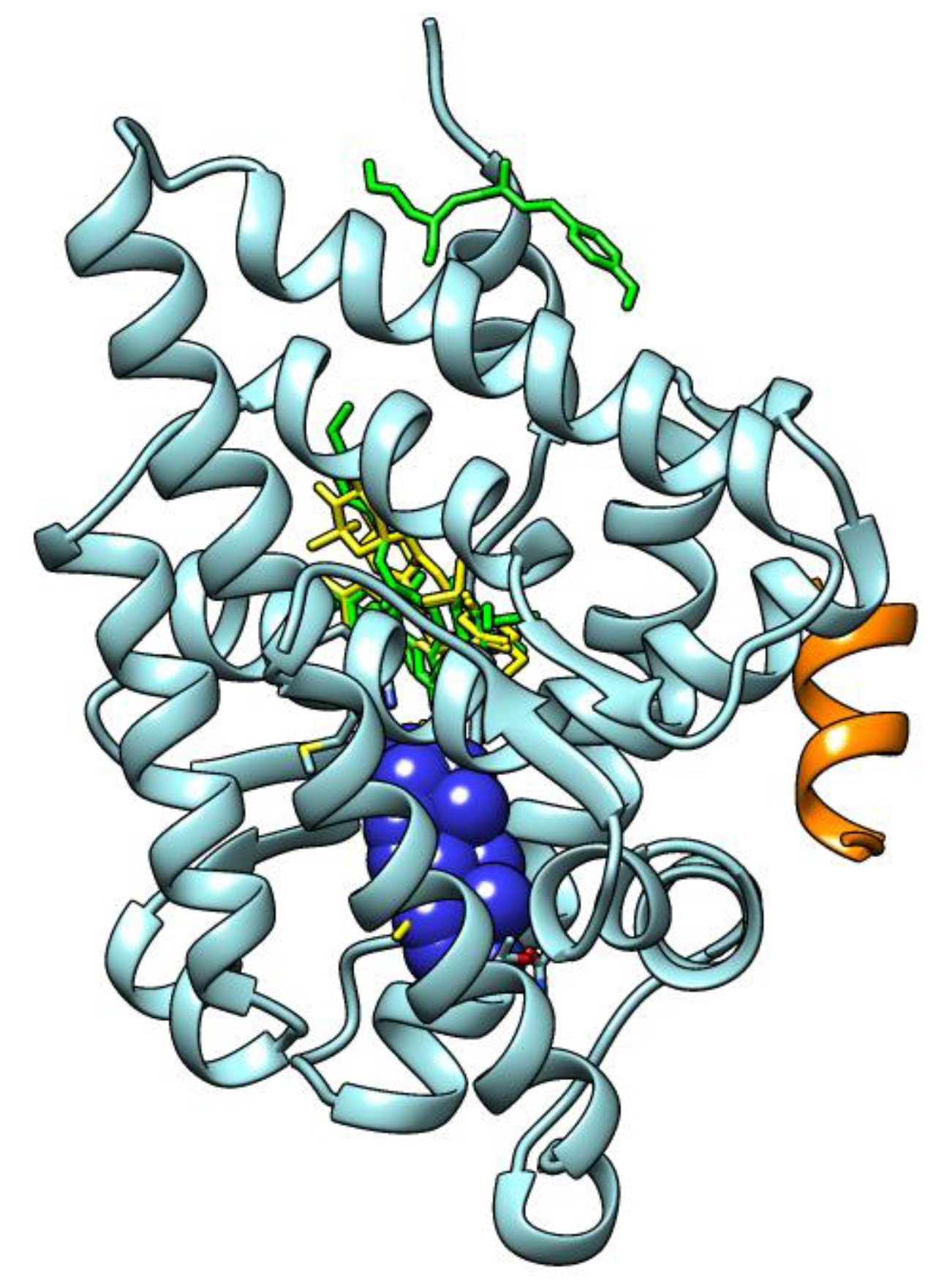 Ijms 24 06767 g009 Ijms 24 06767 g009