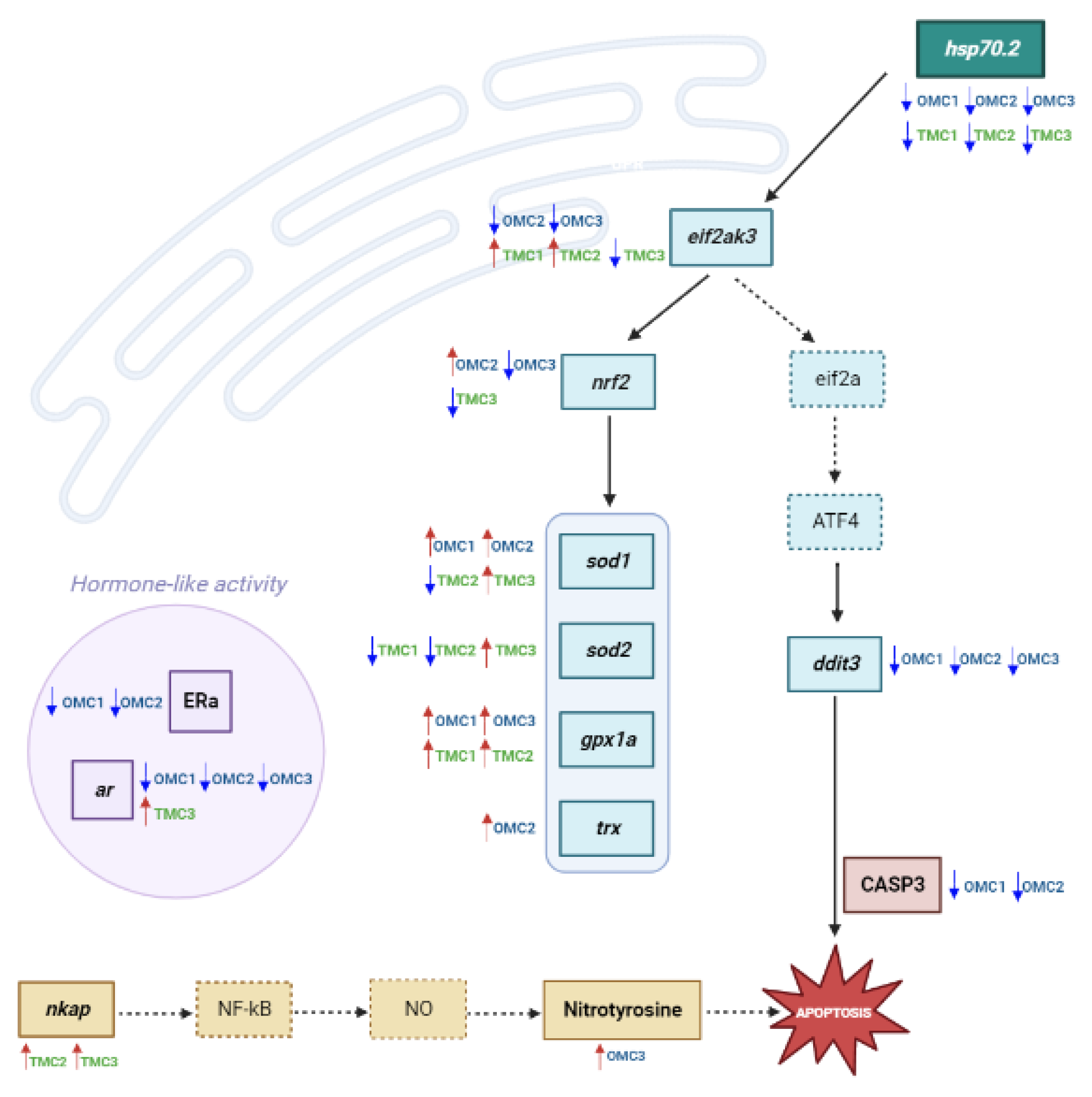 Ijms 24 06767 g010 Ijms 24 06767 g010