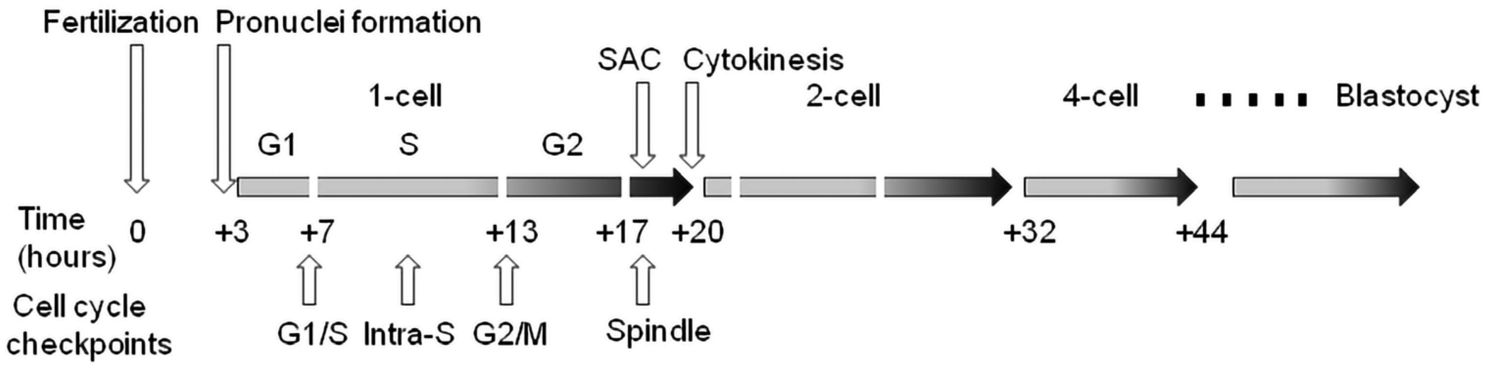 Ijms 24 06778 g001 Ijms 24 06778 g001