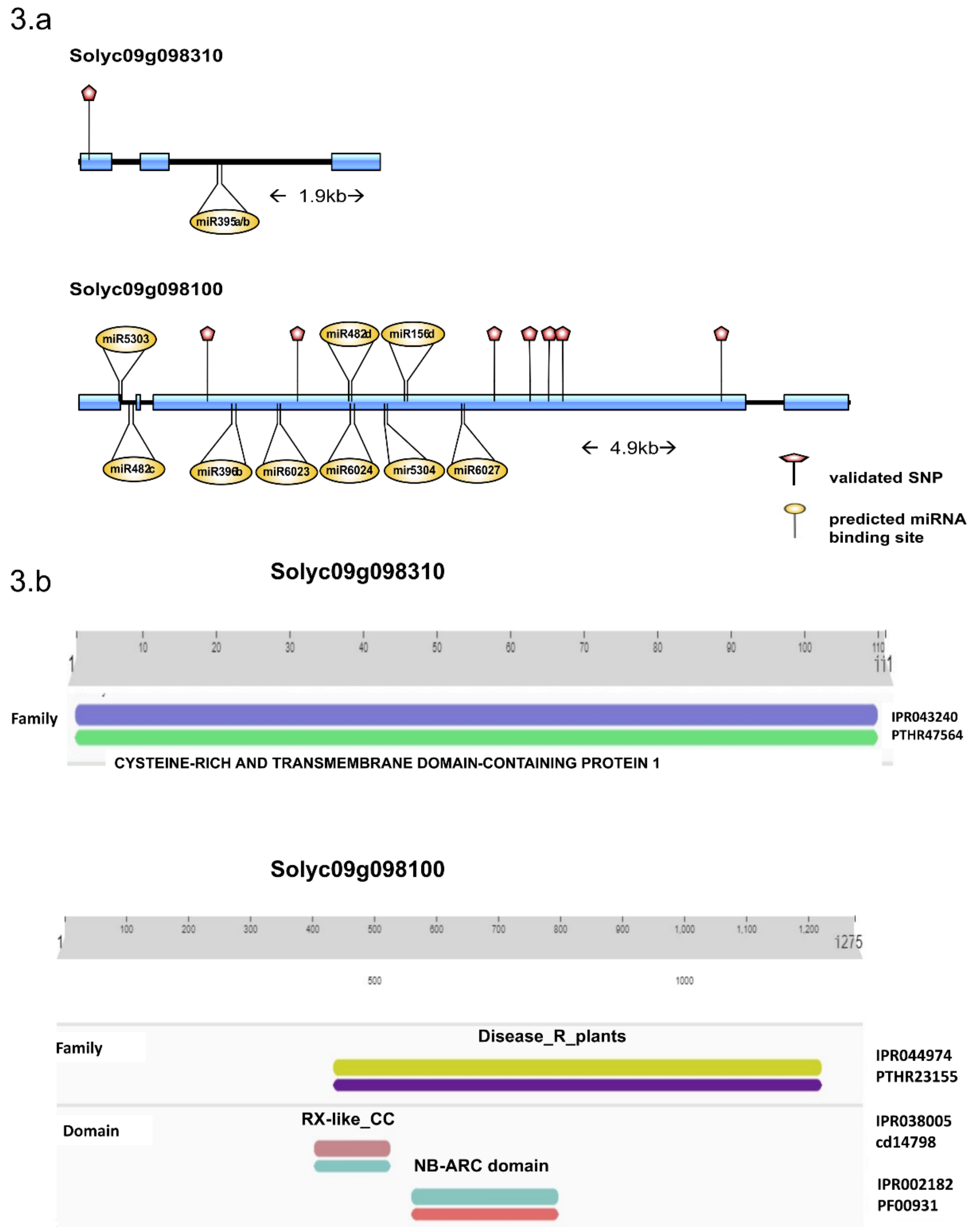 Ijms 24 06798 g003 Ijms 24 06798 g003