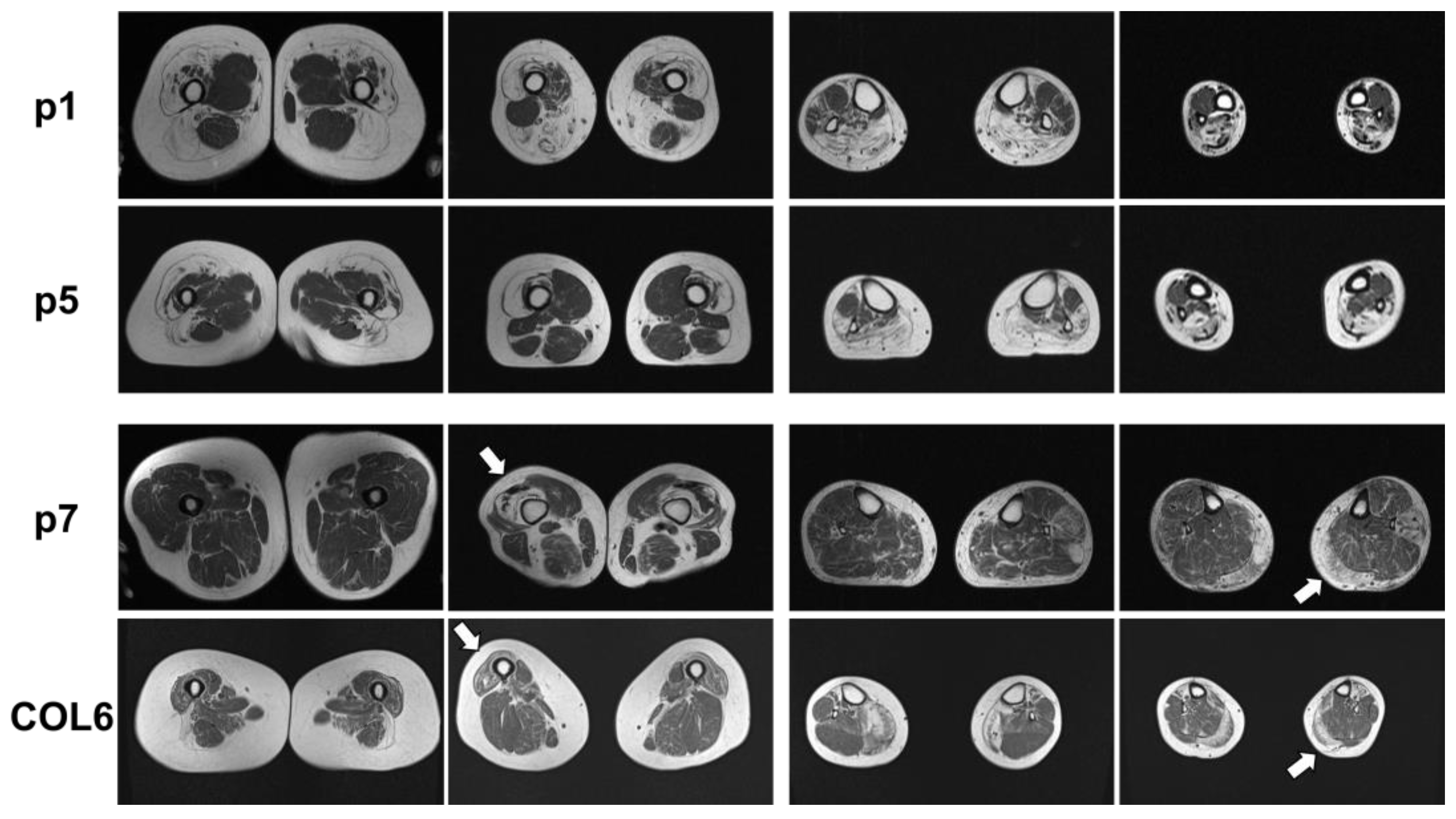 Ijms 24 06808 g002 Ijms 24 06808 g002