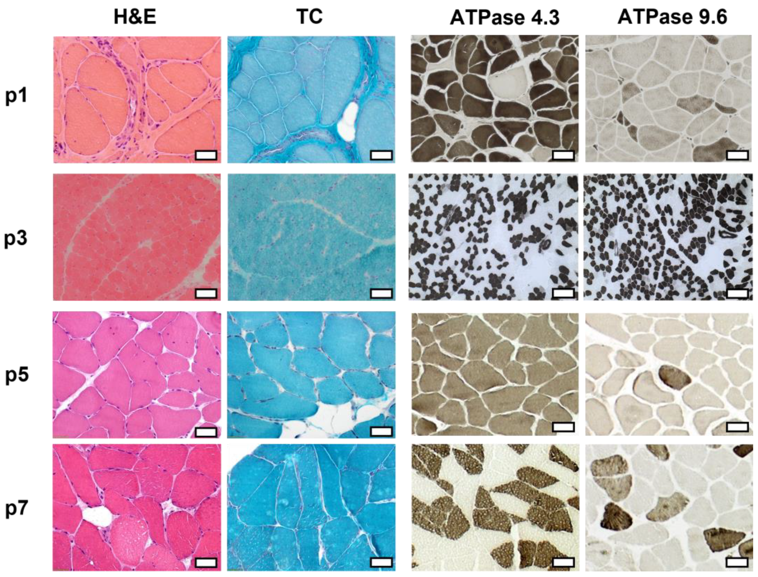 Ijms 24 06808 g003 Ijms 24 06808 g003