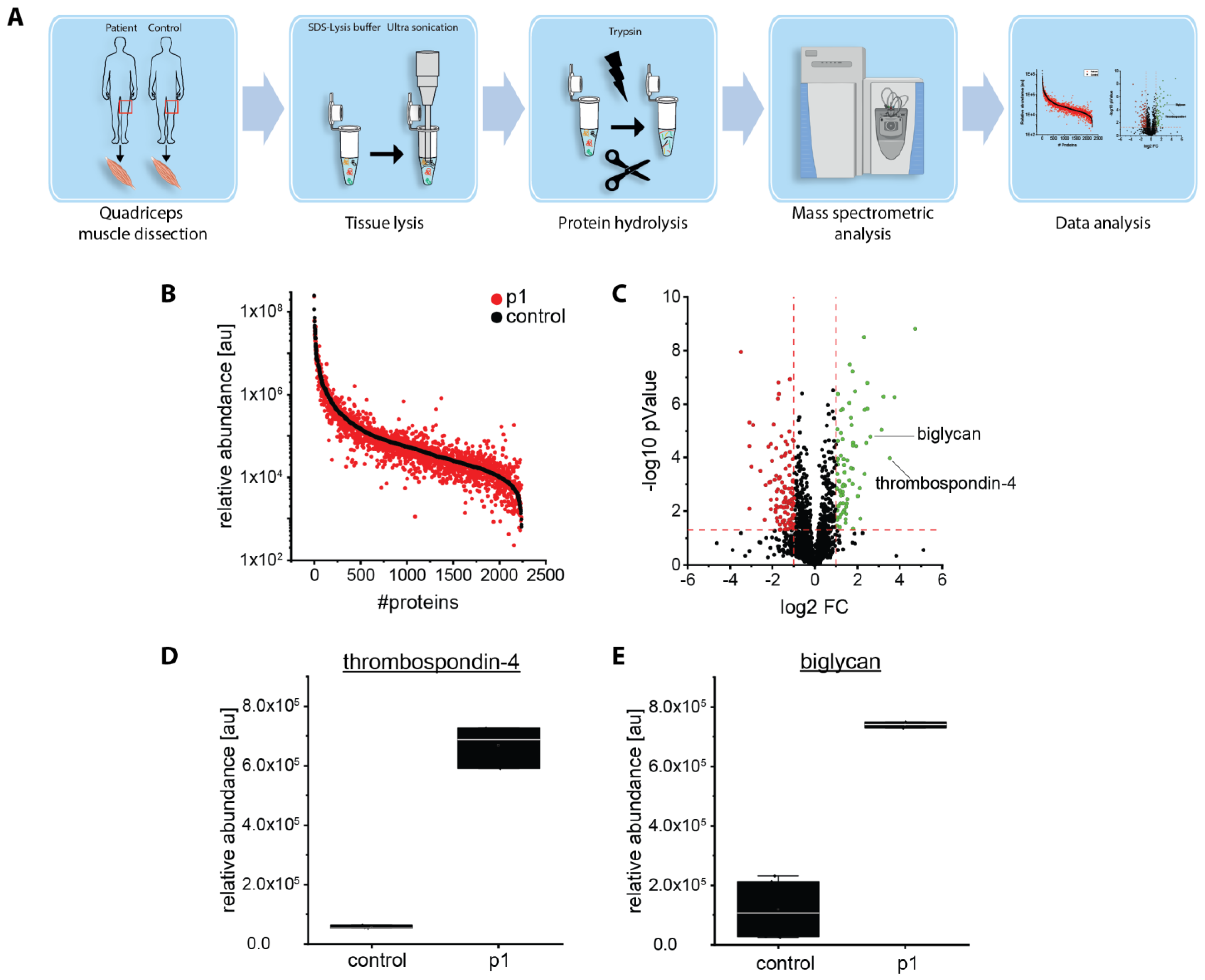 Ijms 24 06808 g005 Ijms 24 06808 g005