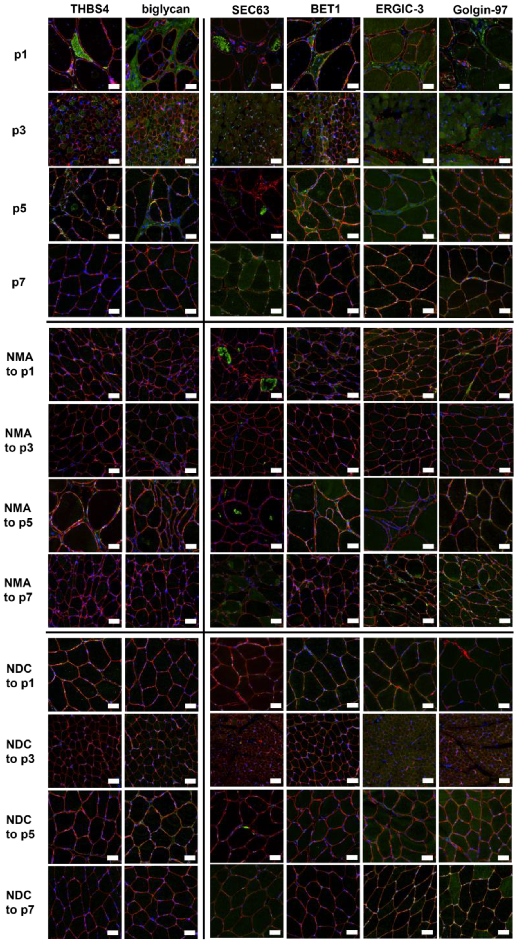 Ijms 24 06808 g006 Ijms 24 06808 g006