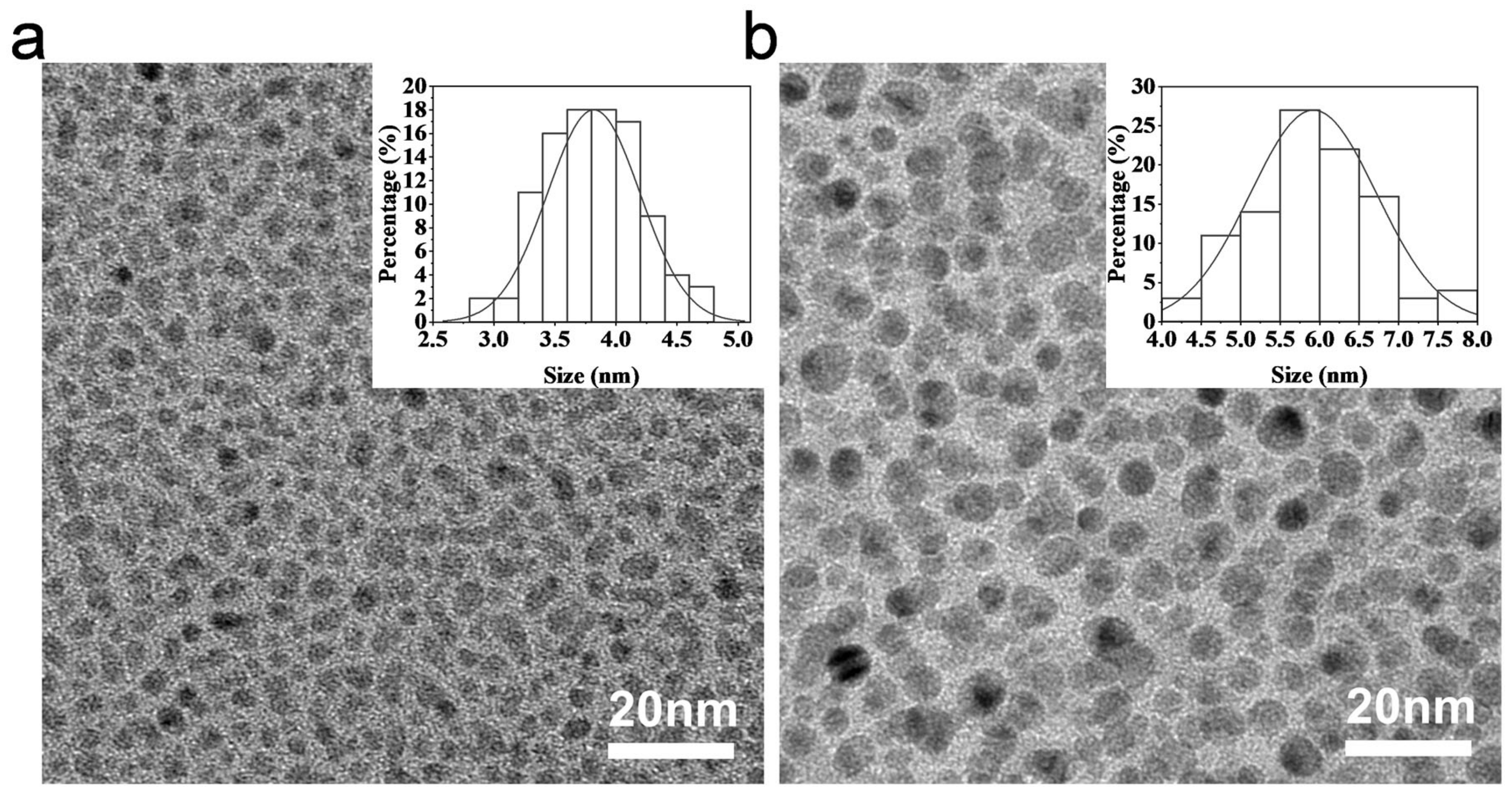 Ijms 24 06814 g001 Ijms 24 06814 g001