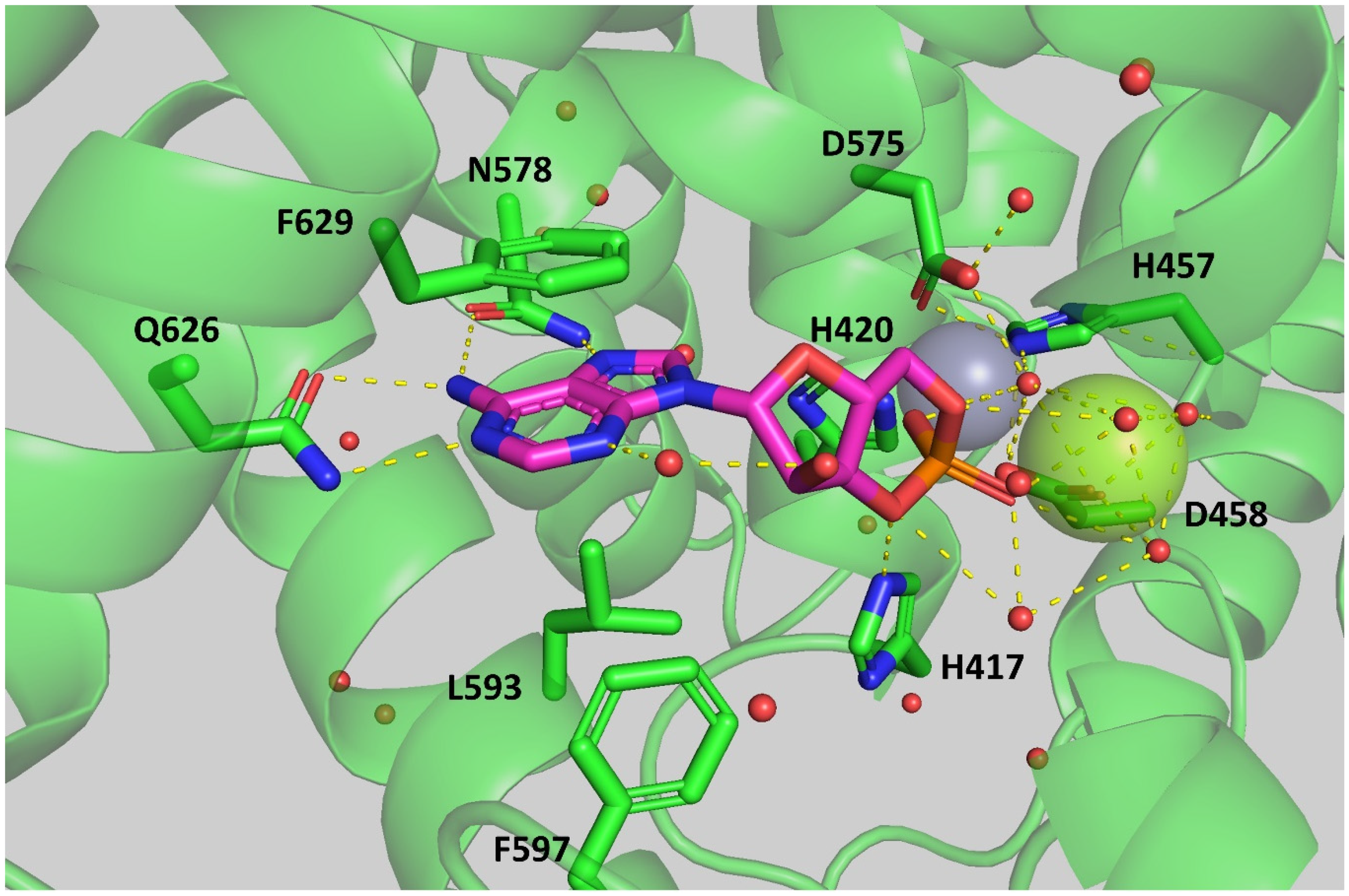 Ijms 24 06817 g003 Ijms 24 06817 g003