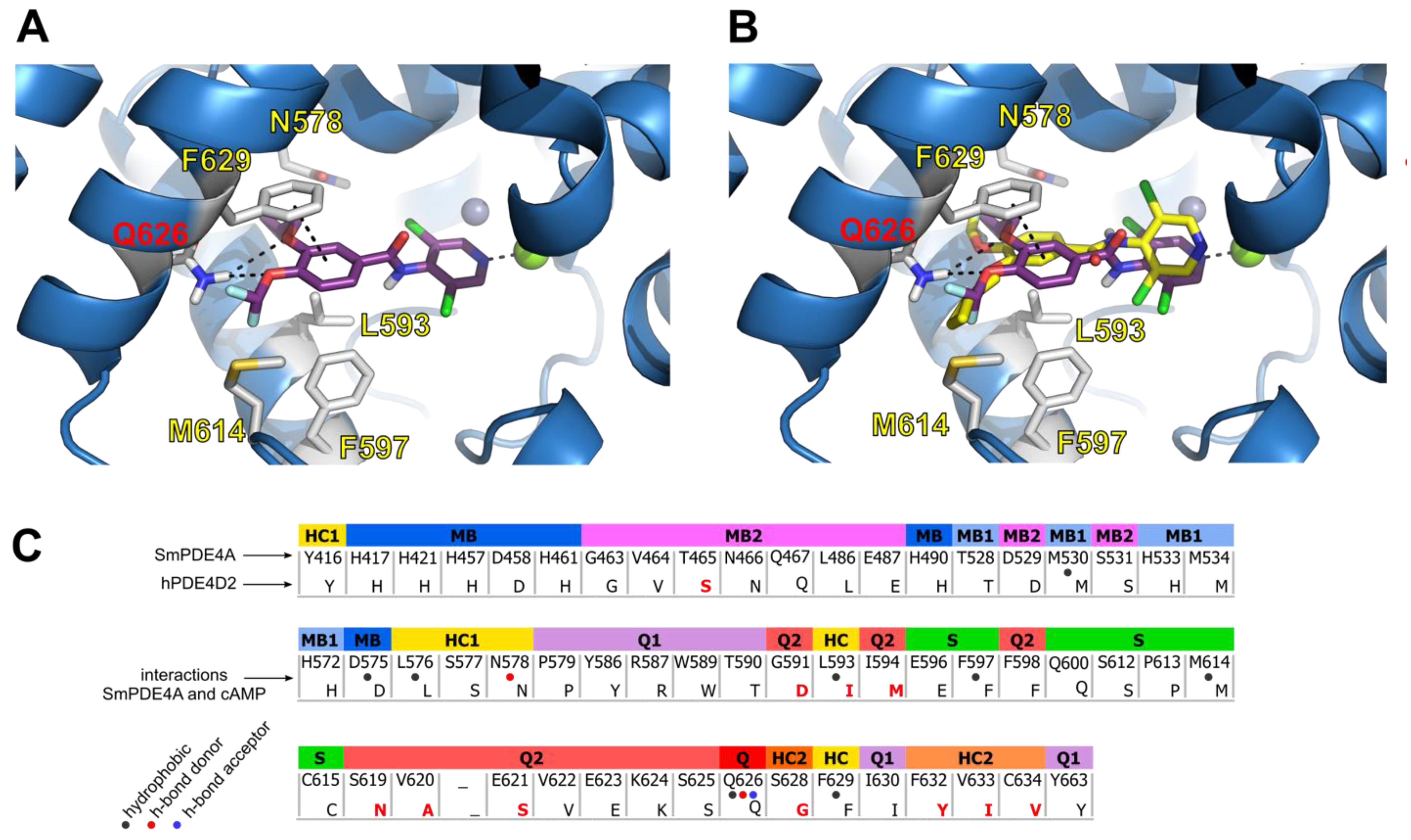 Ijms 24 06817 g005 Ijms 24 06817 g005