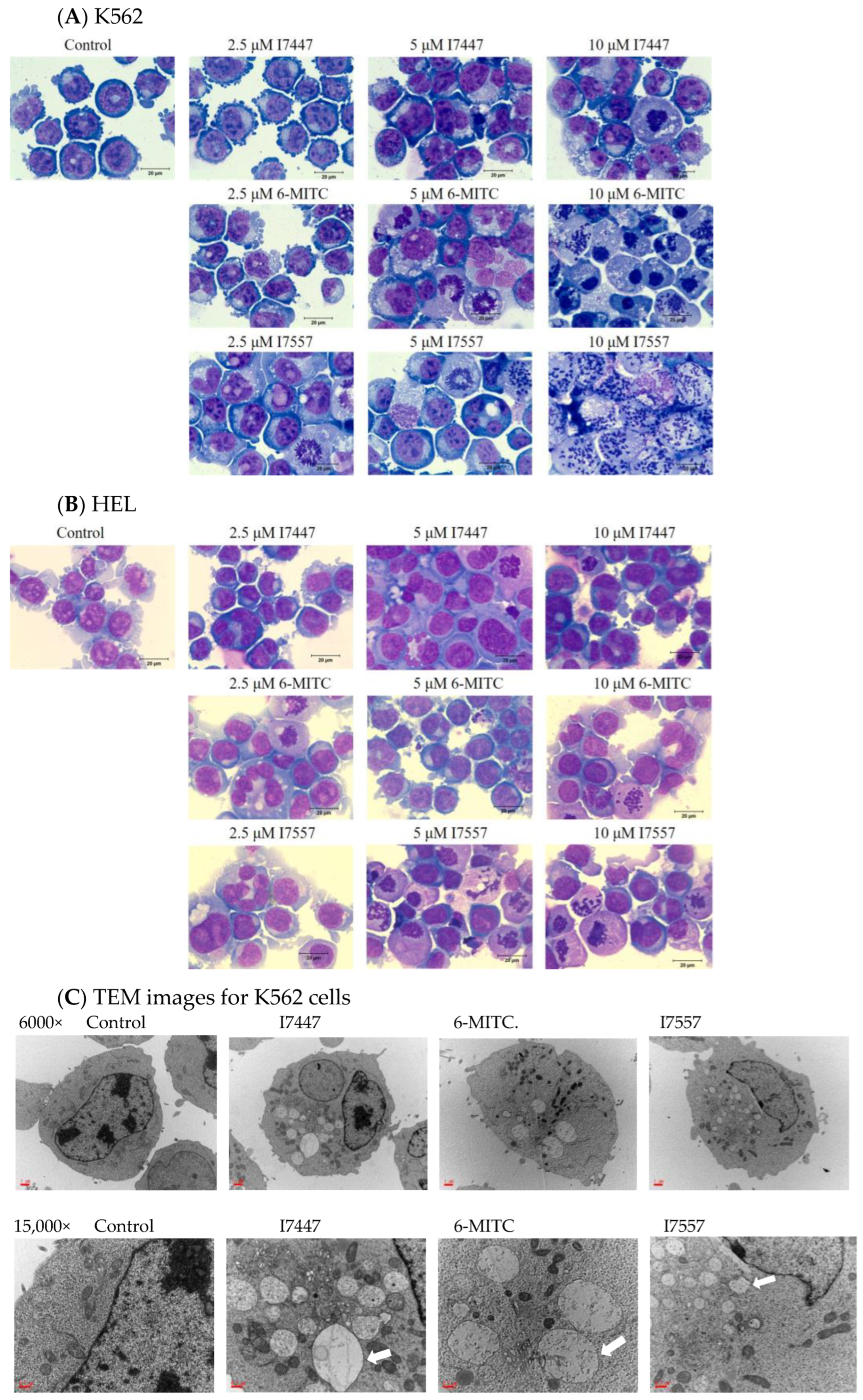 Ijms 24 06823 g006a Ijms 24 06823 g006a