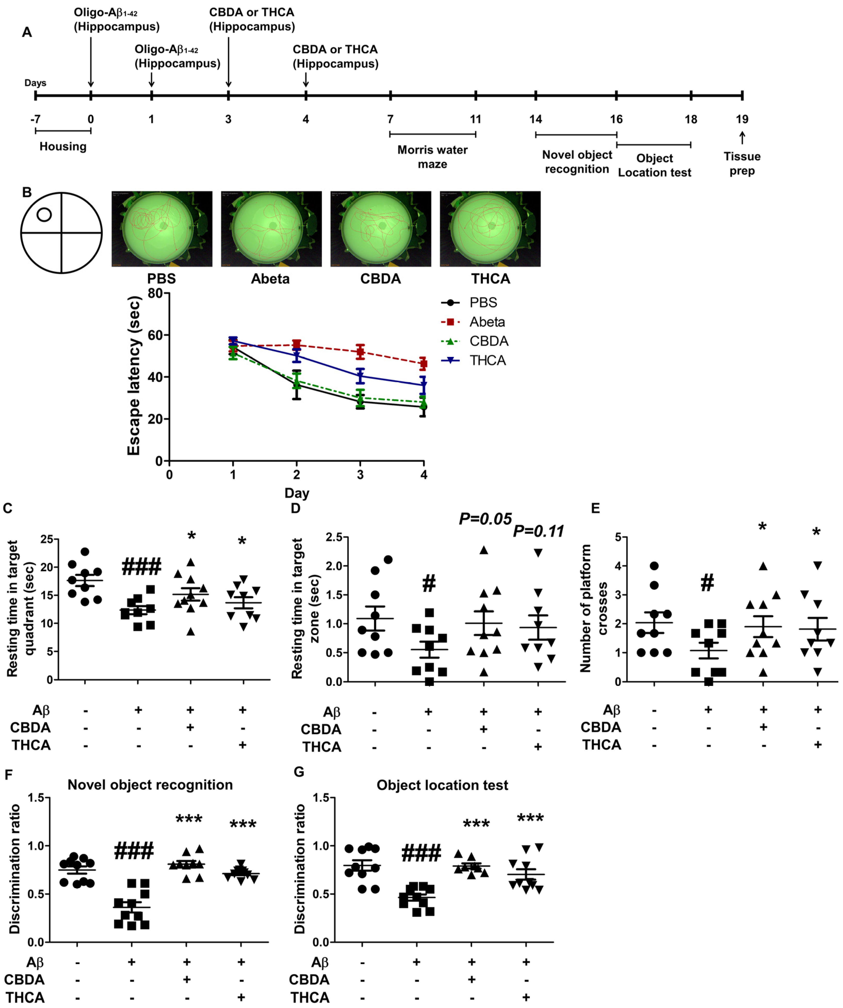 Ijms 24 06827 g003 Ijms 24 06827 g003