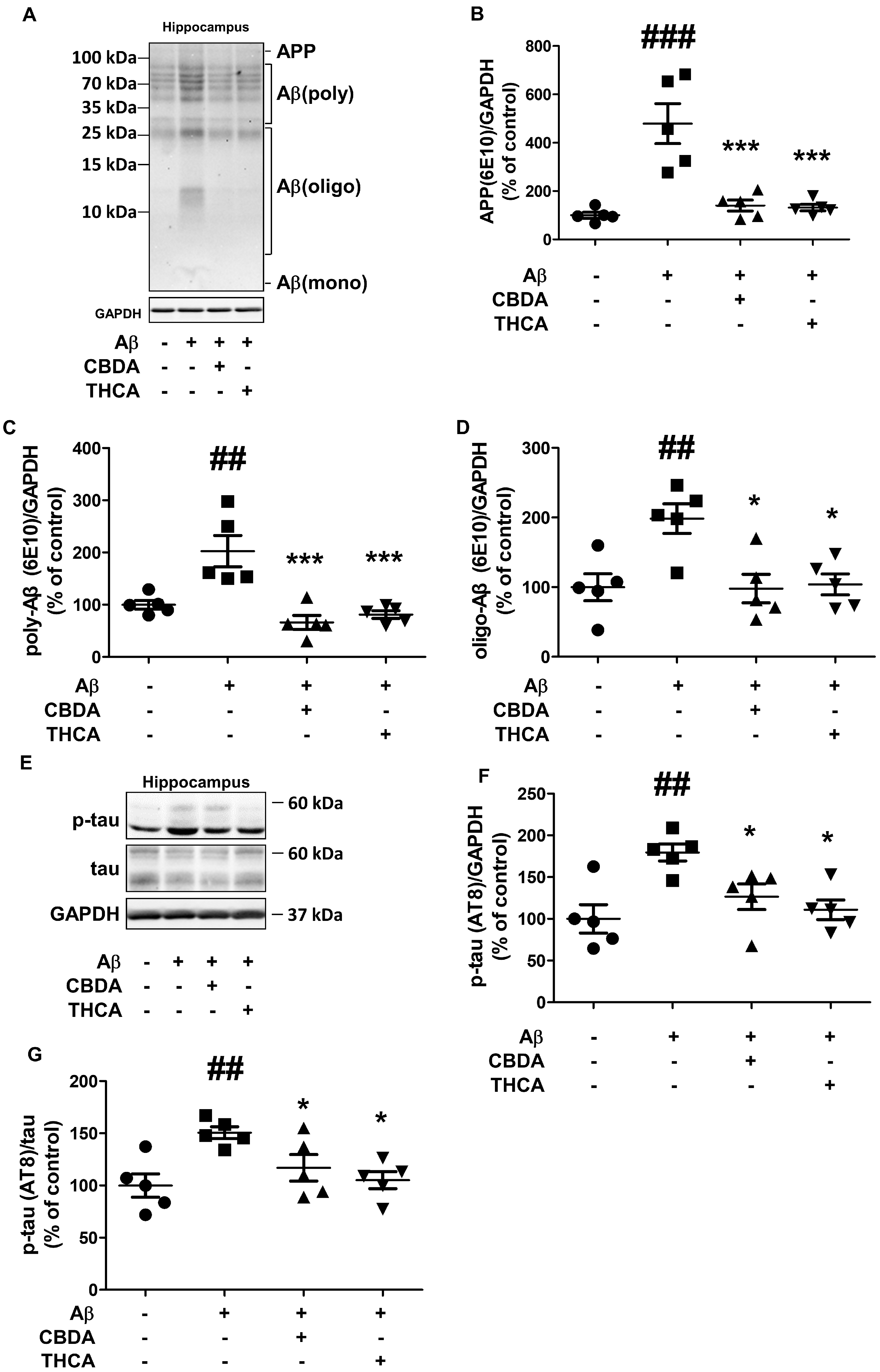 Ijms 24 06827 g004 Ijms 24 06827 g004