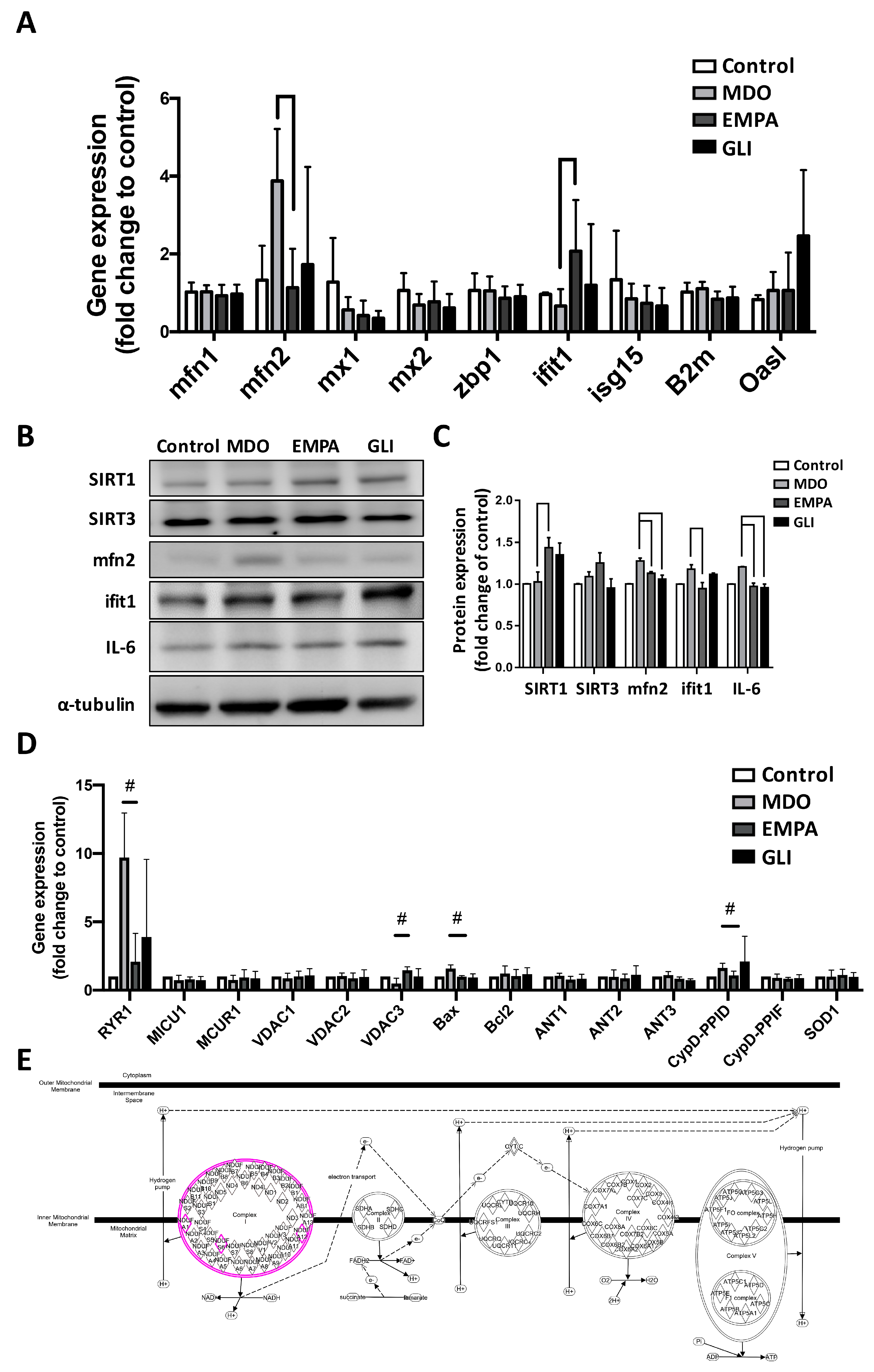 Ijms 24 06842 g003 Ijms 24 06842 g003