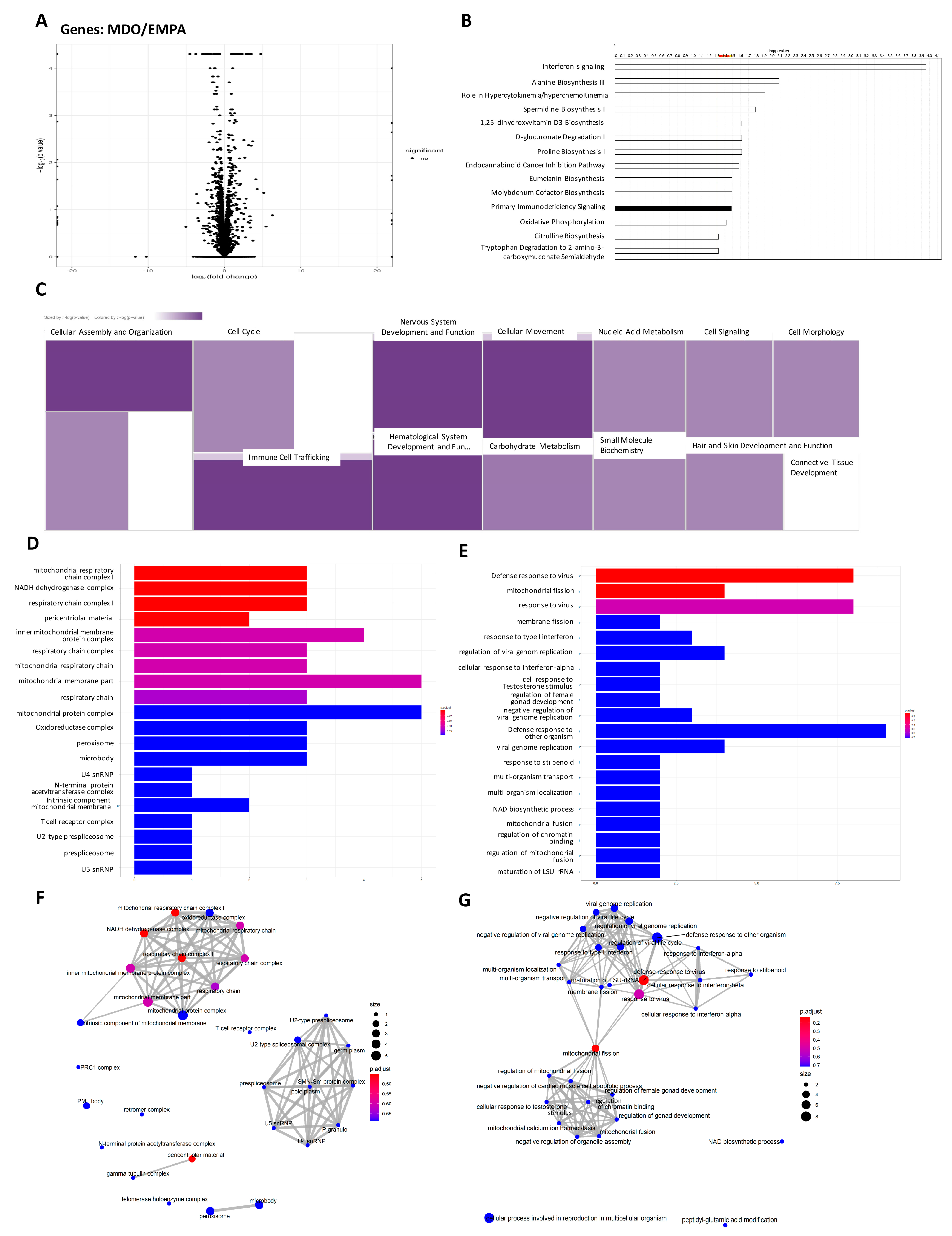 Ijms 24 06842 g004 Ijms 24 06842 g004