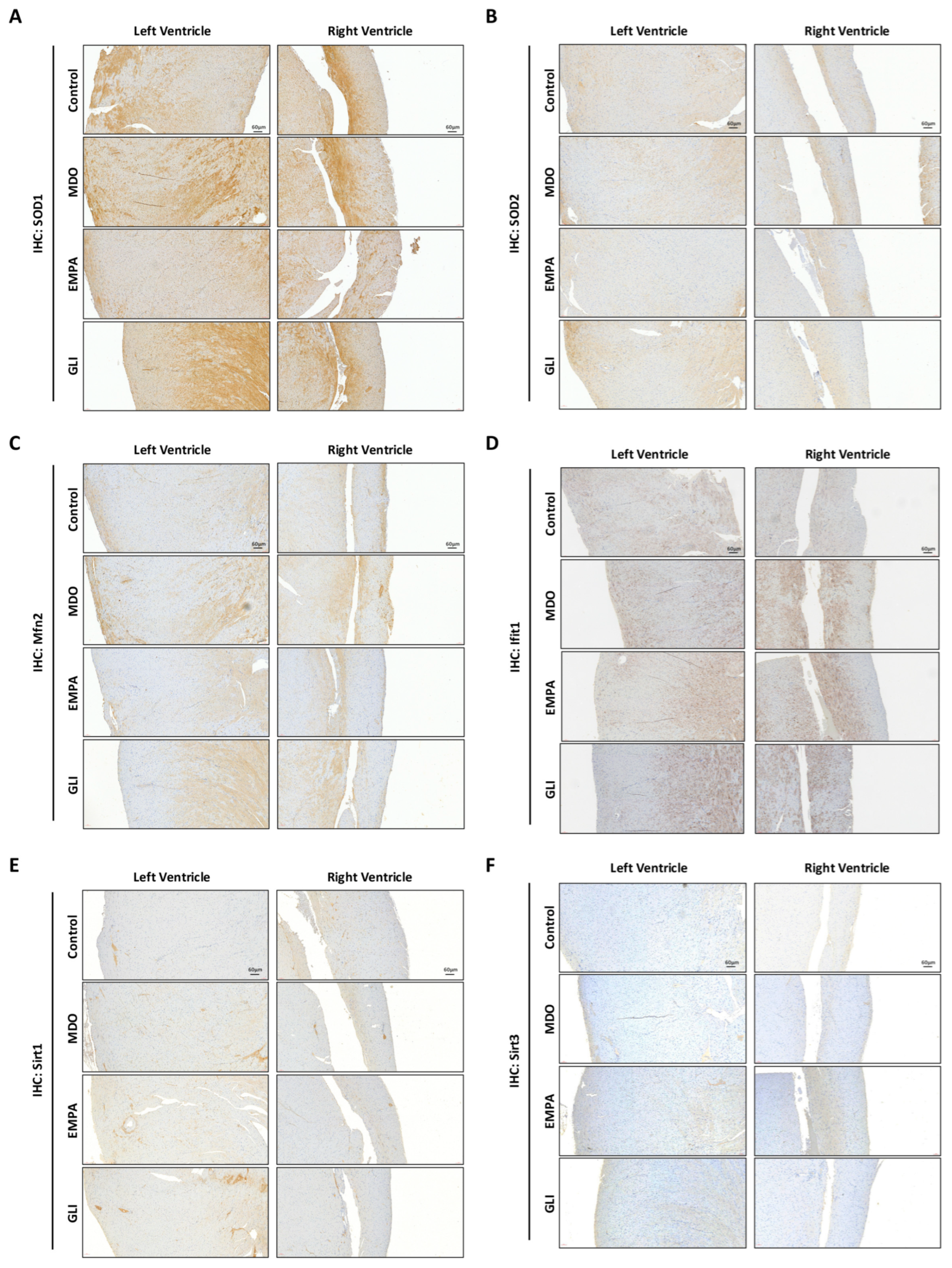 Ijms 24 06842 g005 Ijms 24 06842 g005