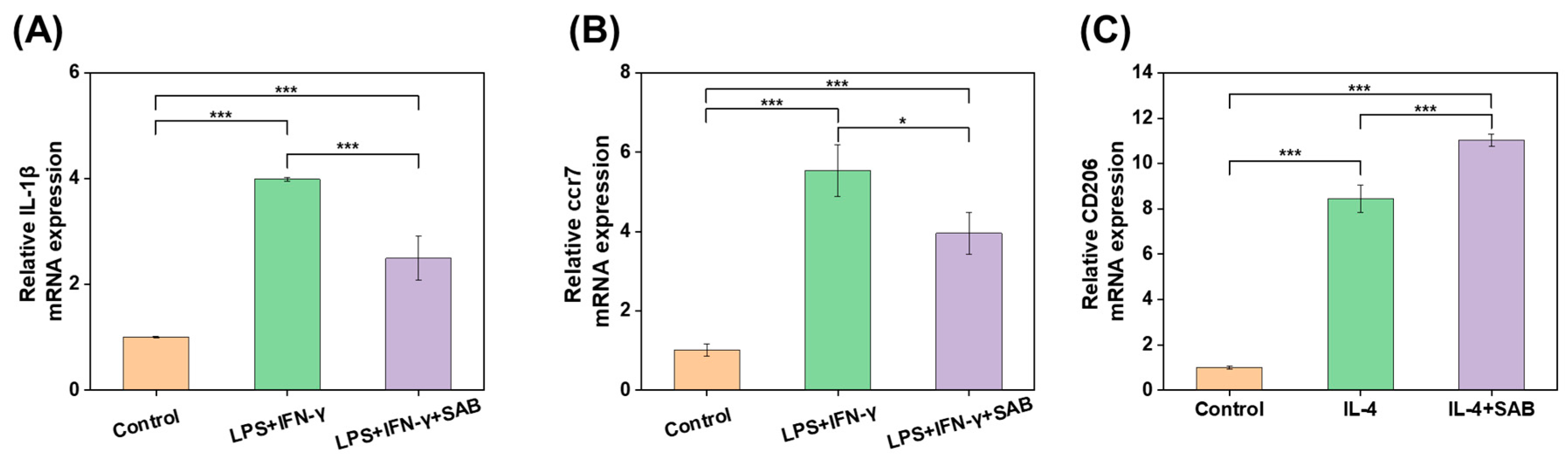Ijms 24 06844 g004 Ijms 24 06844 g004