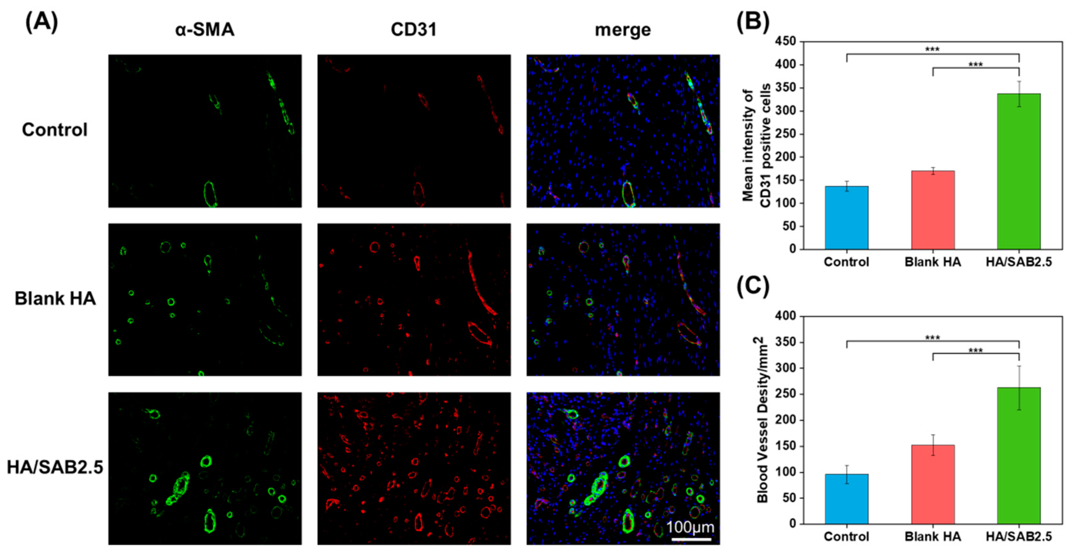 Ijms 24 06844 g007 Ijms 24 06844 g007