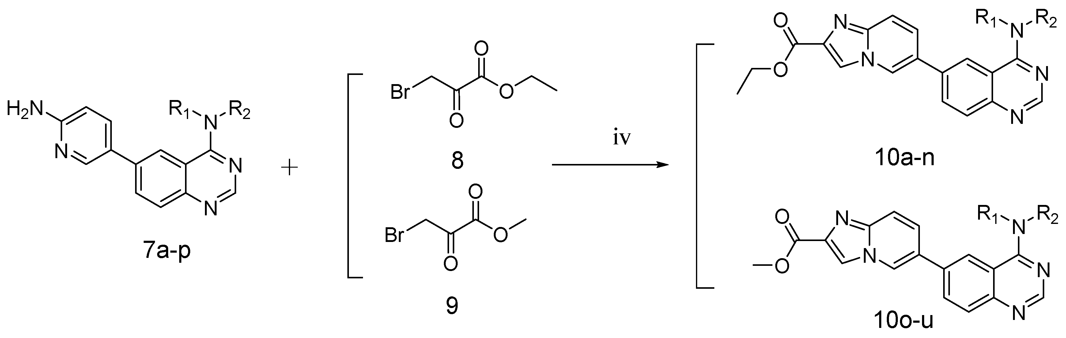 Ijms 24 06851 sch002