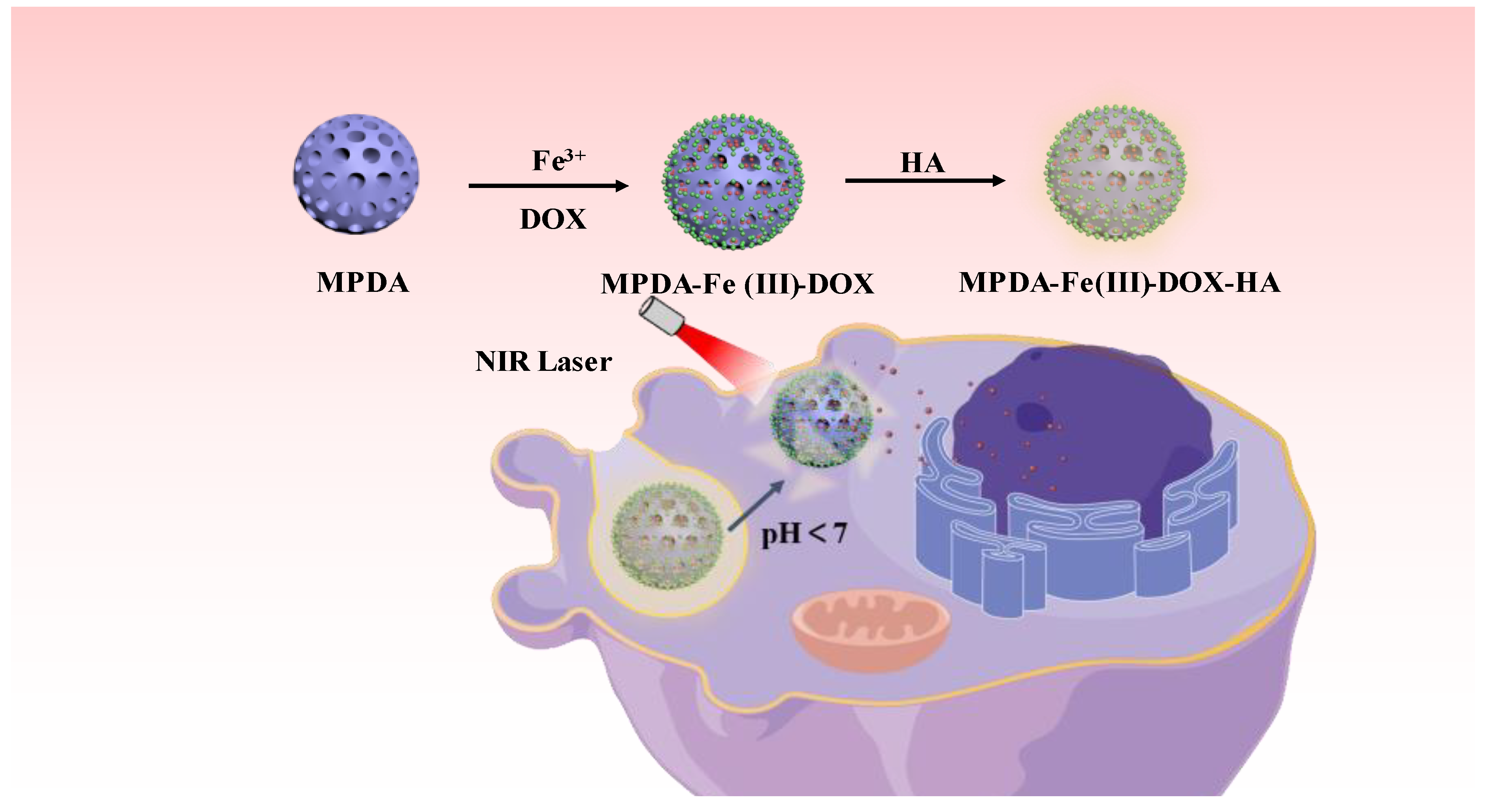 Ijms 24 06854 g001 Ijms 24 06854 g001