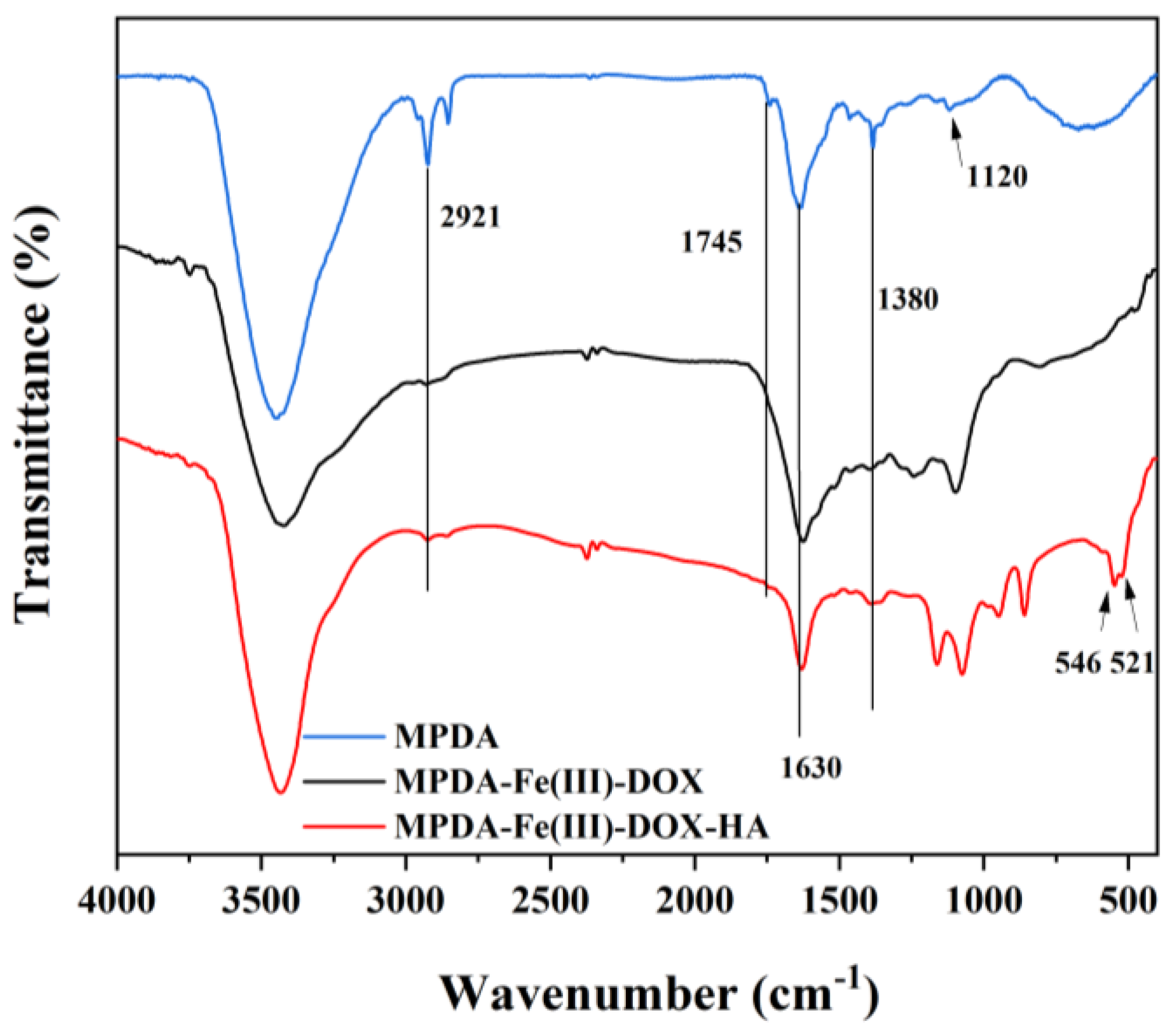 Ijms 24 06854 g005 Ijms 24 06854 g005