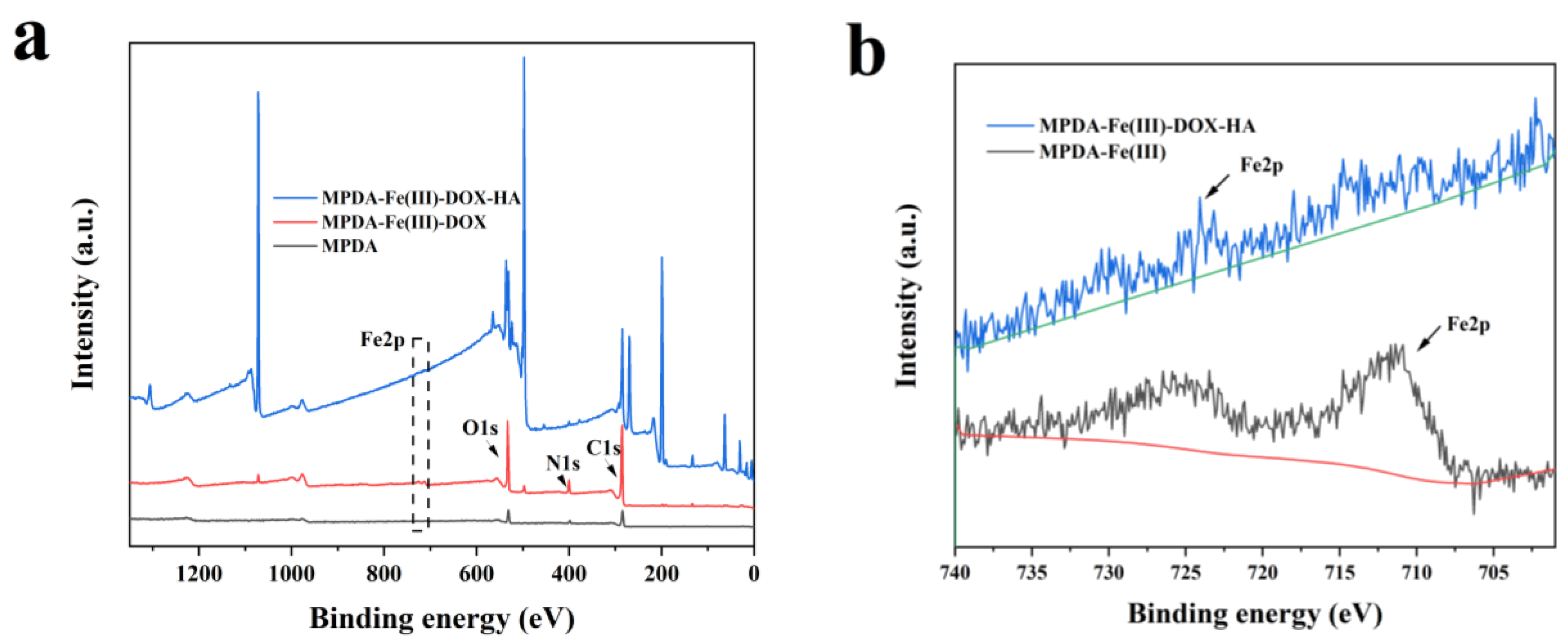 Ijms 24 06854 g006 Ijms 24 06854 g006