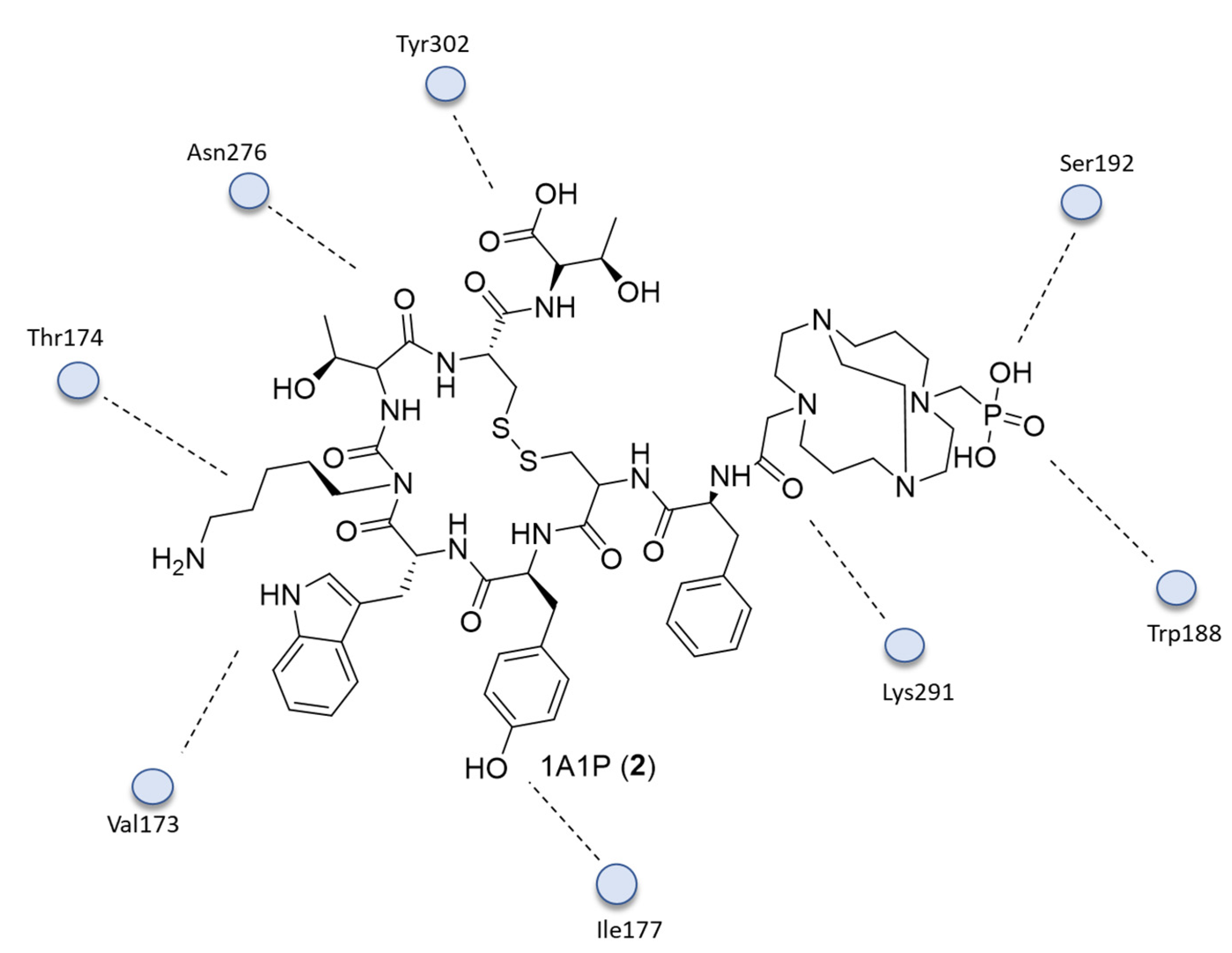 Ijms 24 06856 g002 Ijms 24 06856 g002