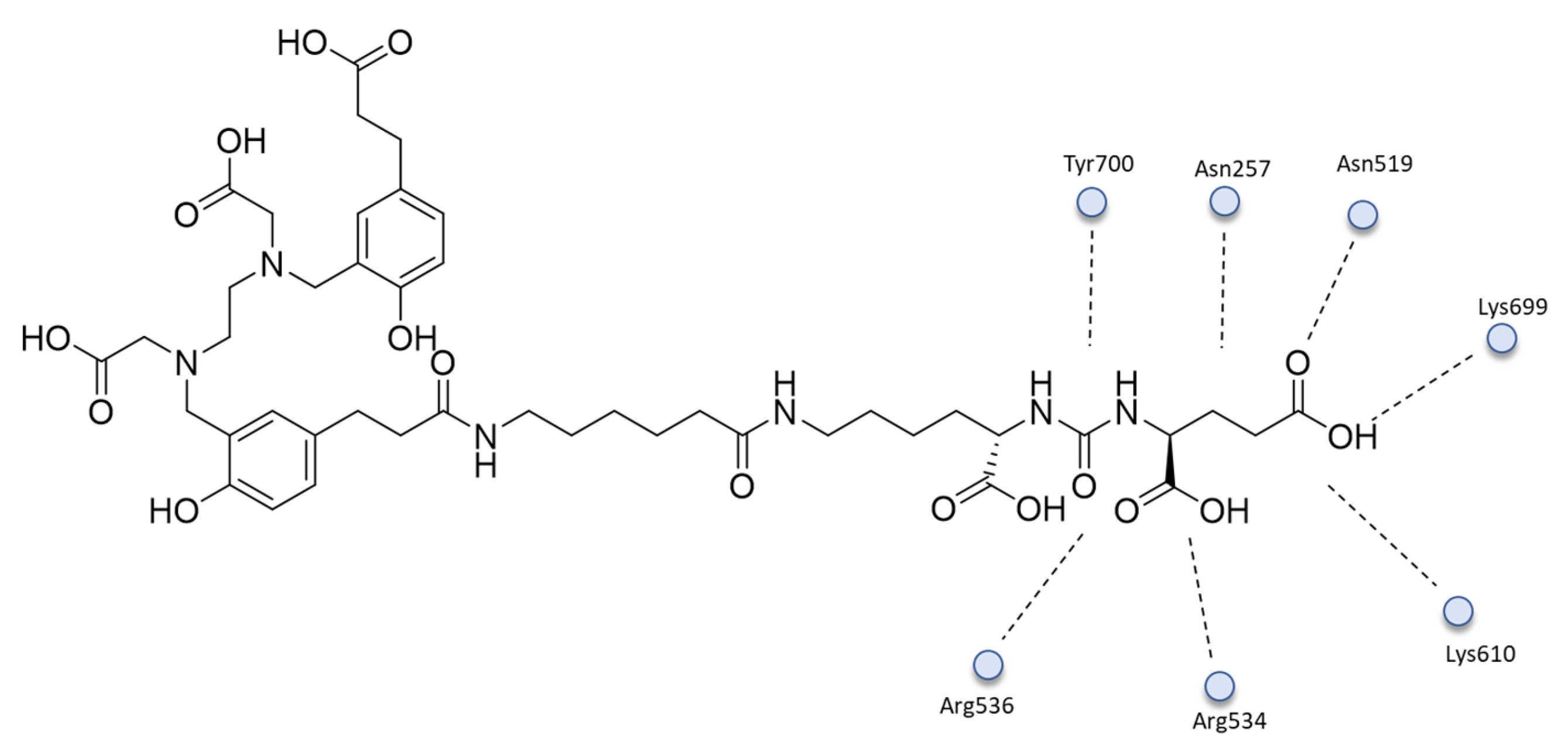Ijms 24 06856 g008 Ijms 24 06856 g008