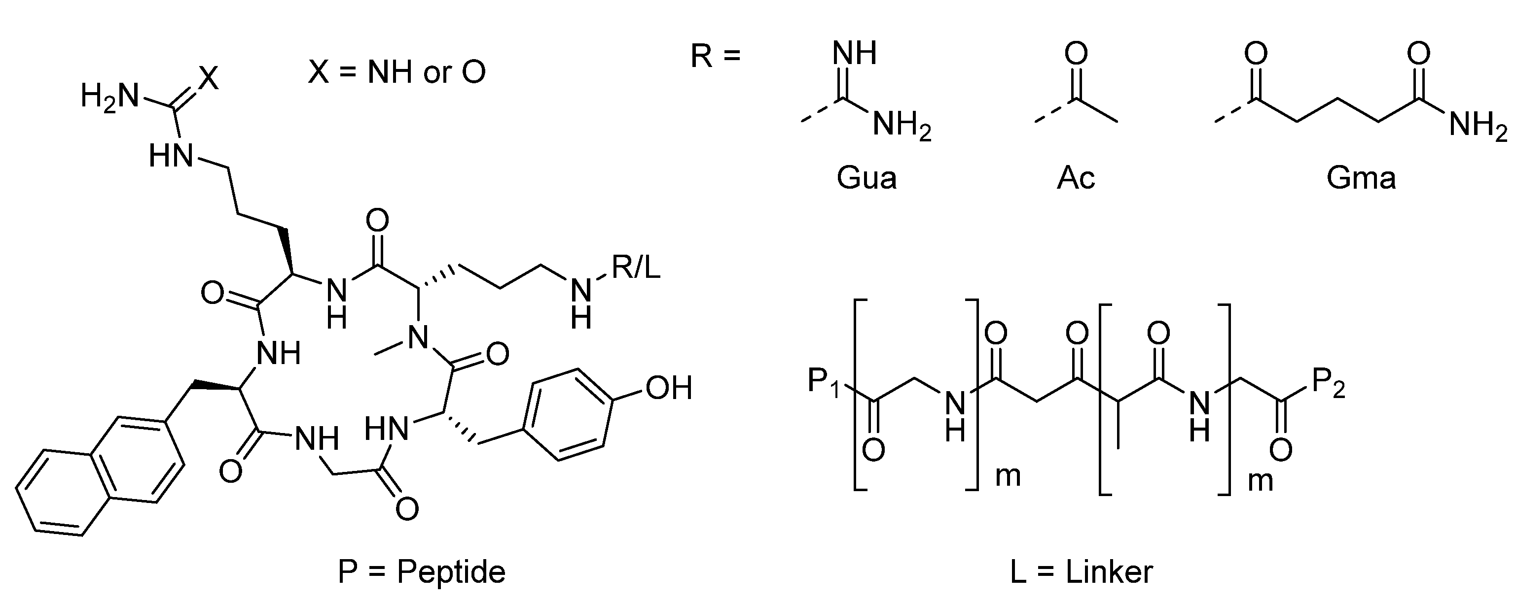 Ijms 24 06856 g012 Ijms 24 06856 g012