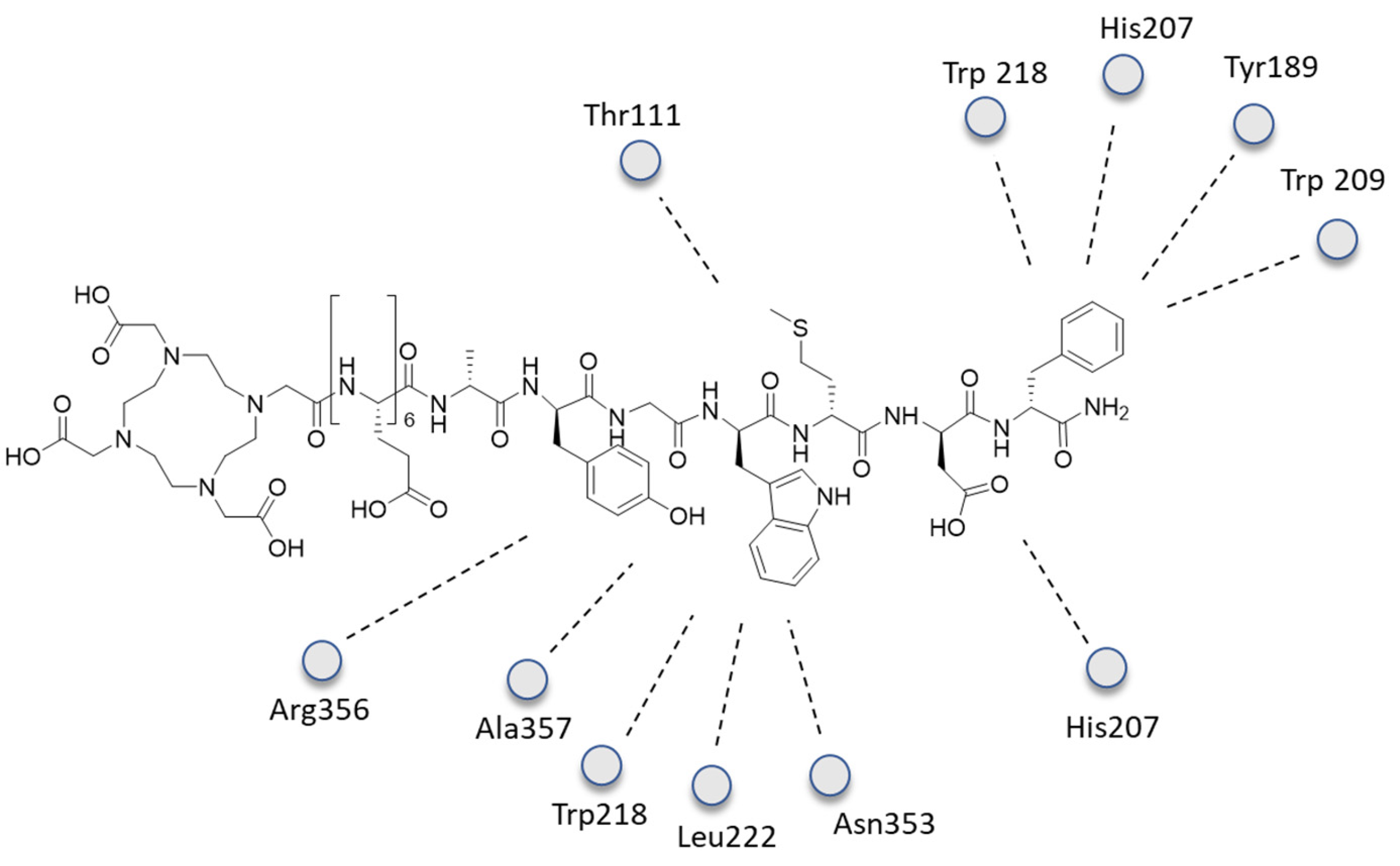 Ijms 24 06856 g015 Ijms 24 06856 g015