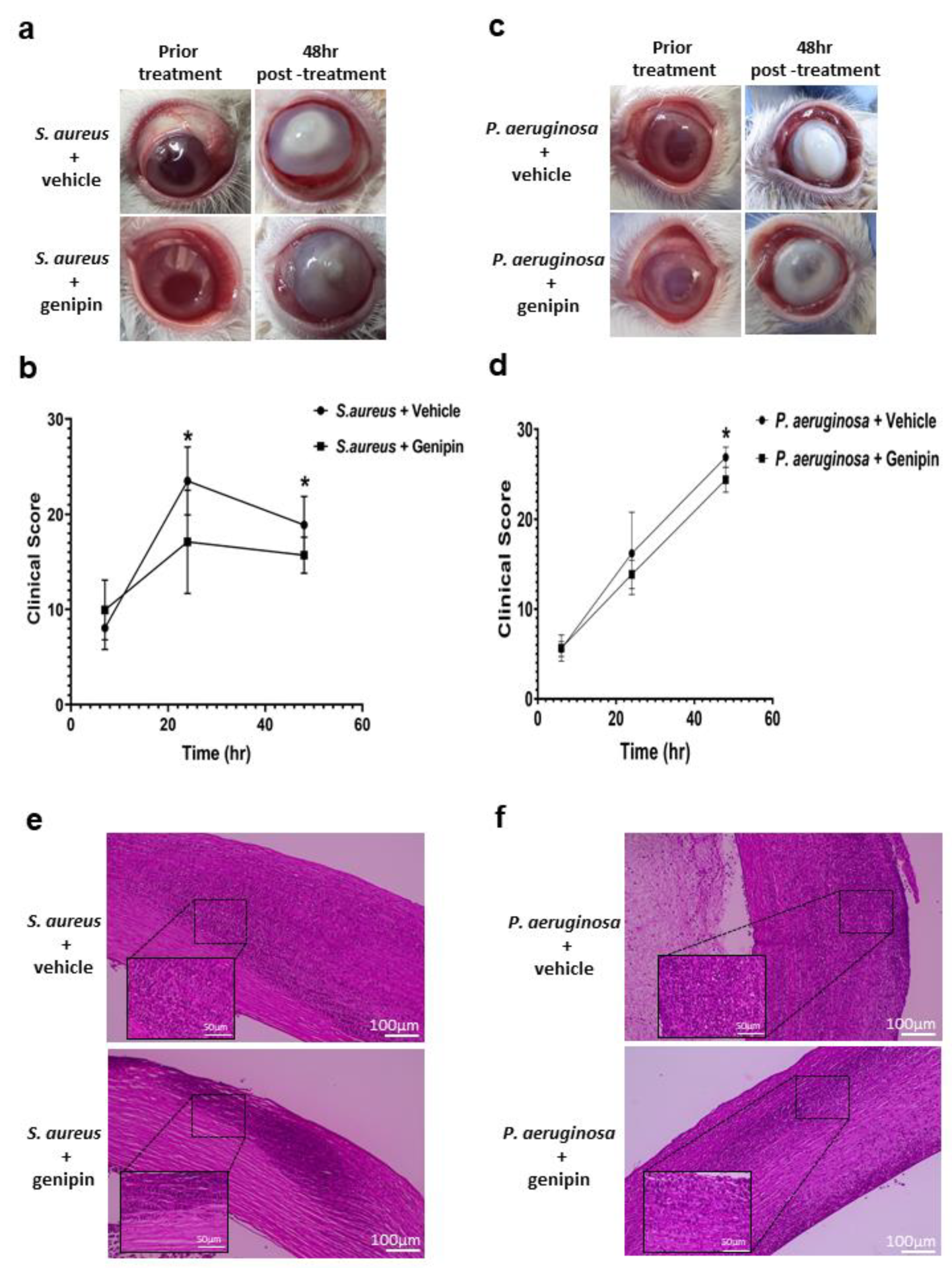 Ijms 24 06904 g001 Ijms 24 06904 g001