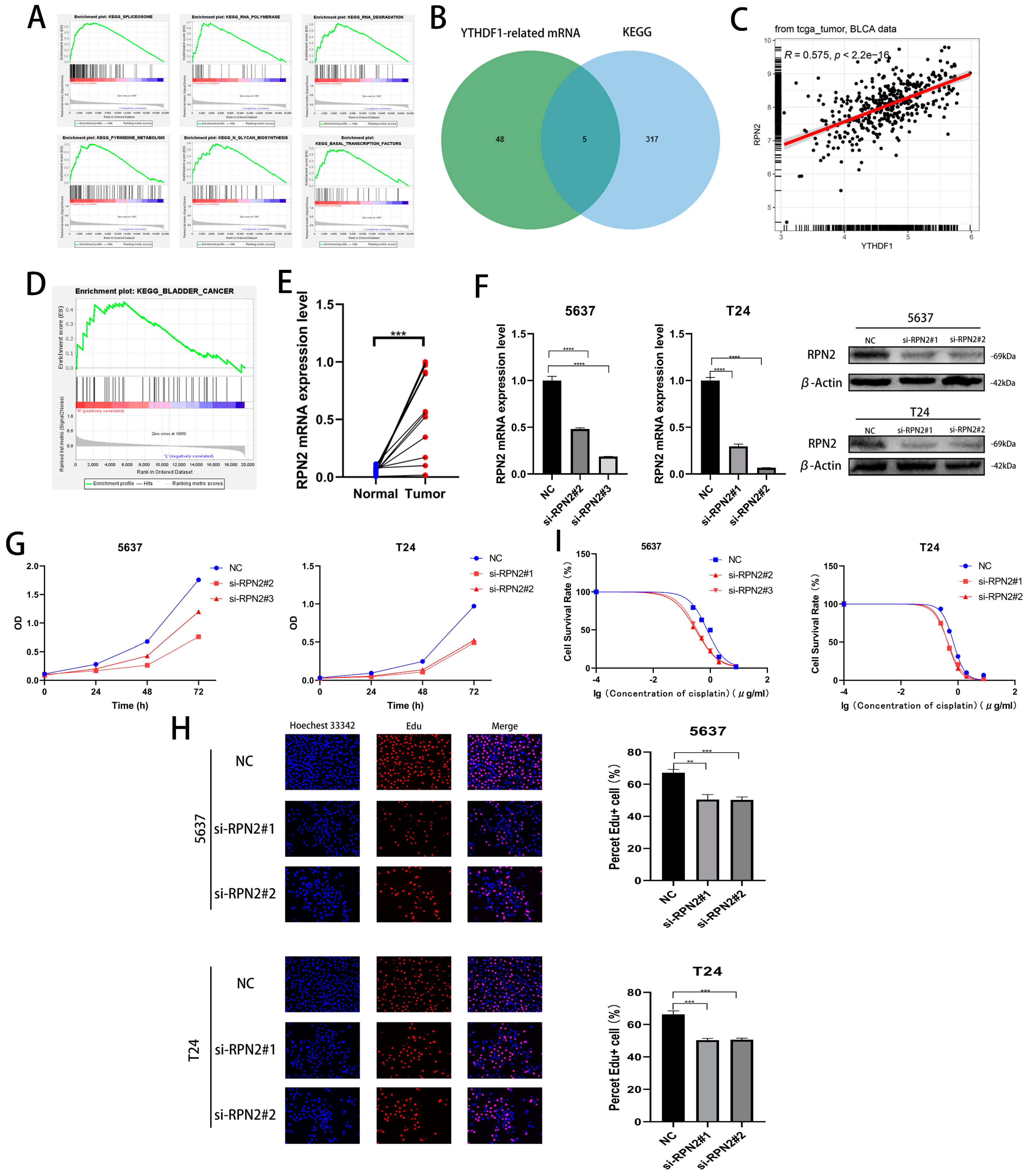 Ijms 24 06905 g003 Ijms 24 06905 g003