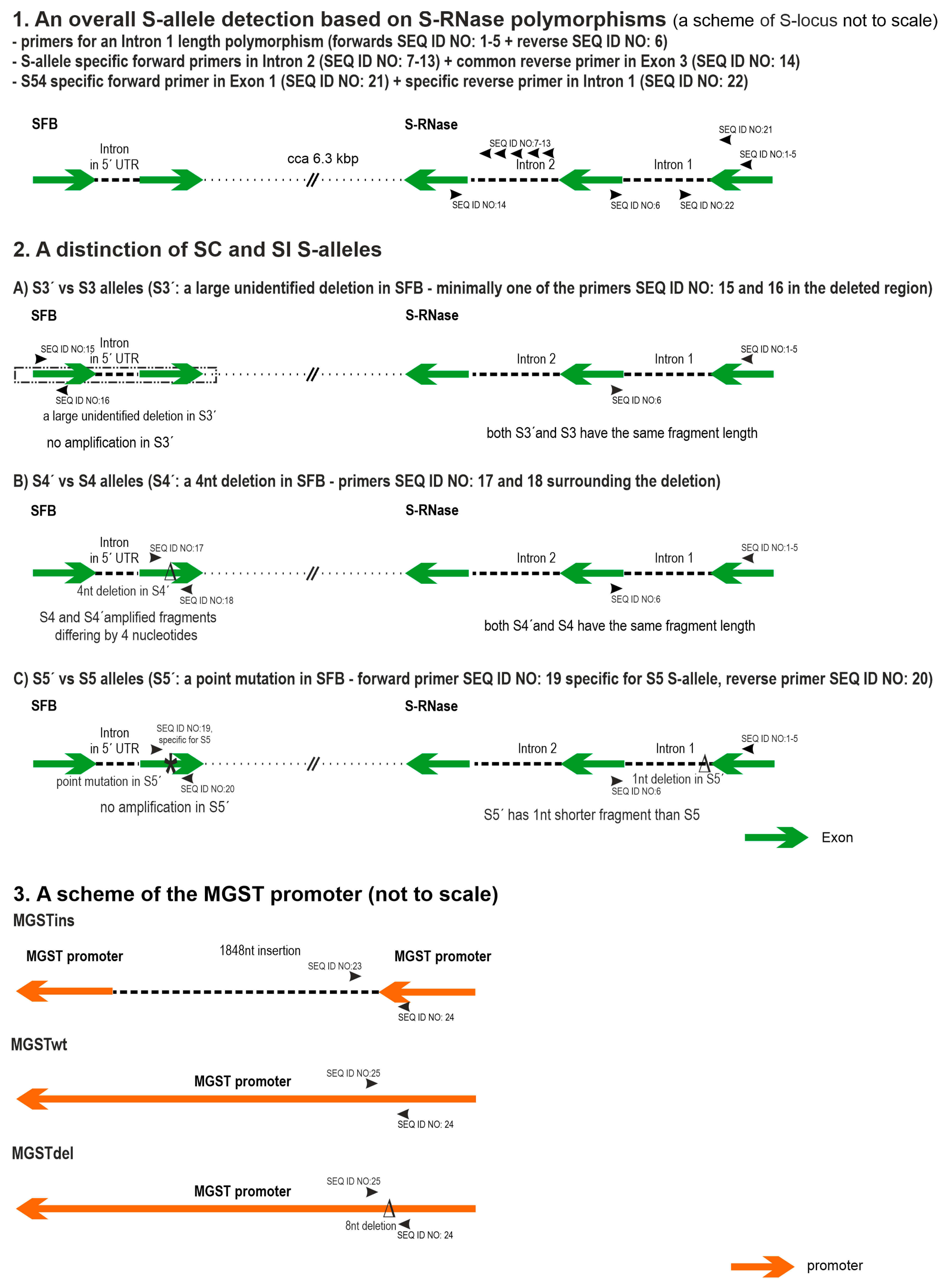 Ijms 24 06931 g001 Ijms 24 06931 g001