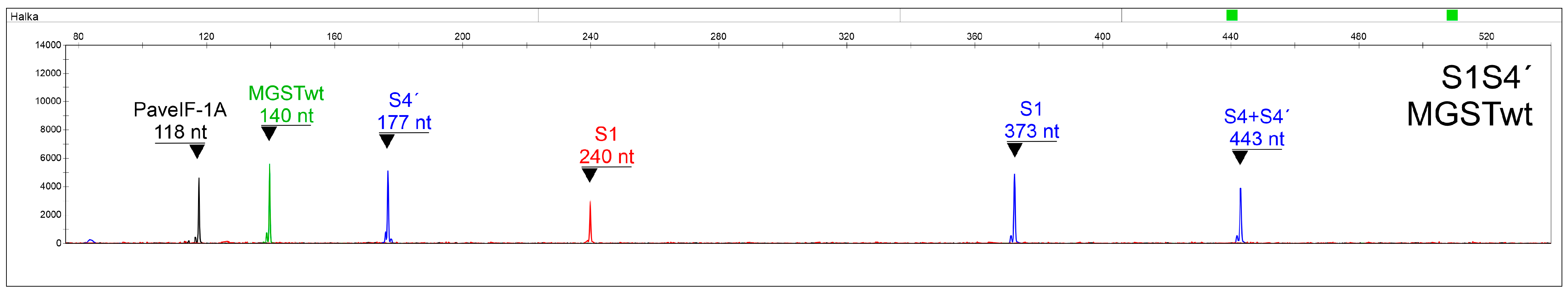 Ijms 24 06931 g003 Ijms 24 06931 g003