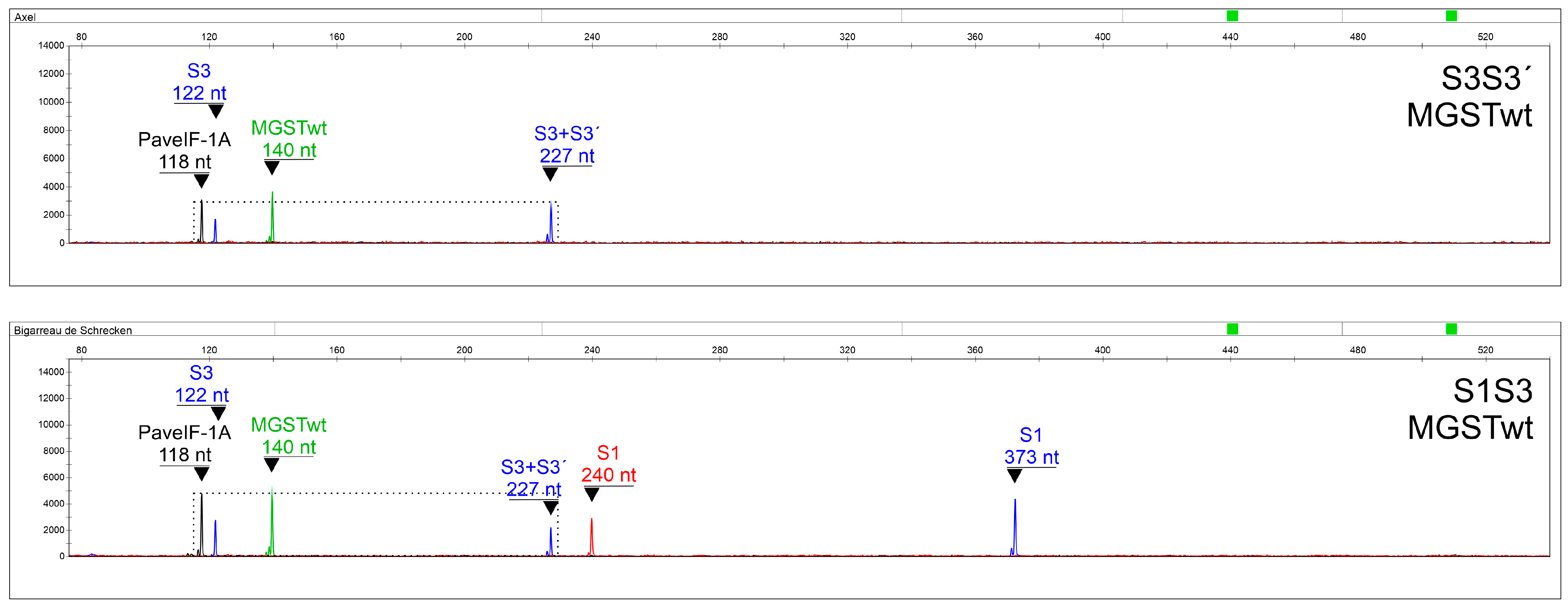 Ijms 24 06931 g004 Ijms 24 06931 g004