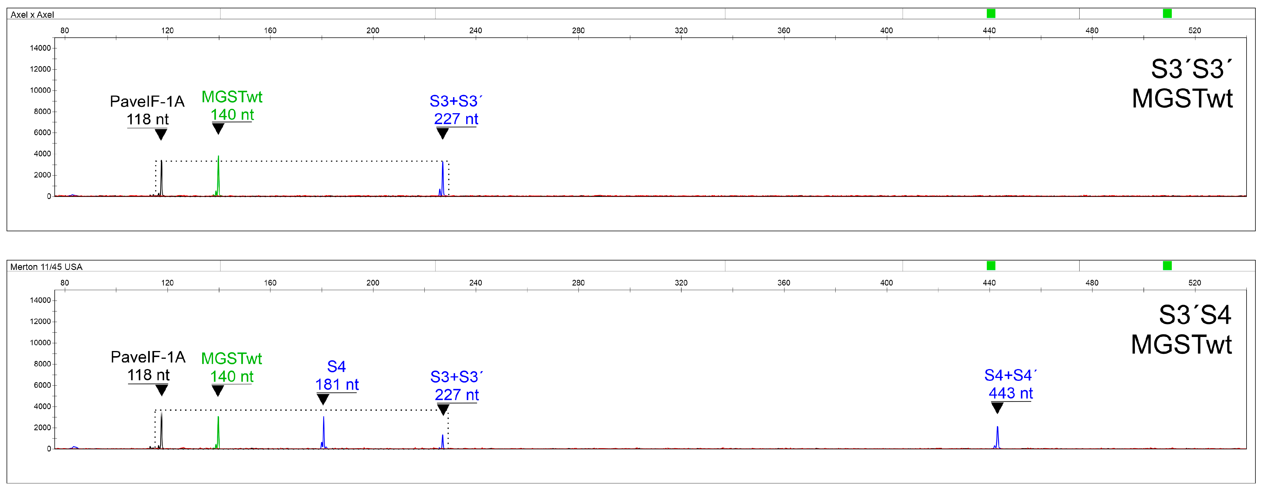 Ijms 24 06931 g005 Ijms 24 06931 g005