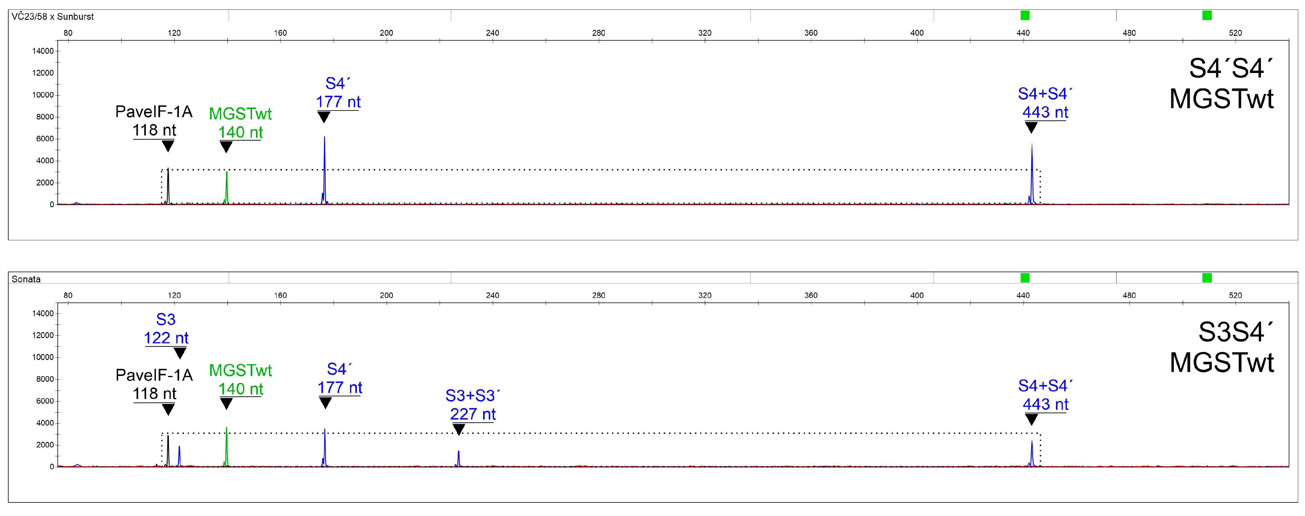 Ijms 24 06931 g006 Ijms 24 06931 g006