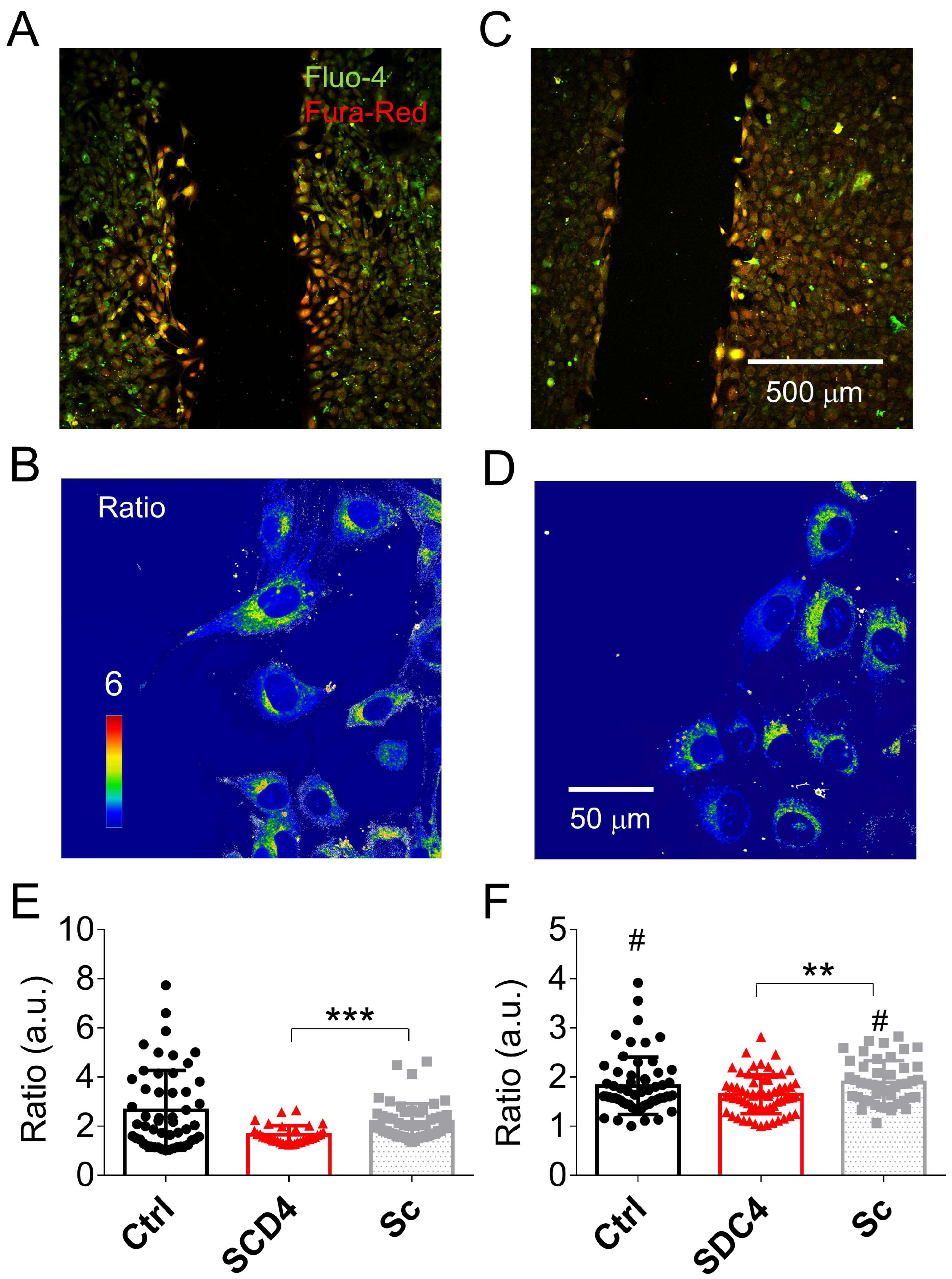 Ijms 24 06933 g006 Ijms 24 06933 g006