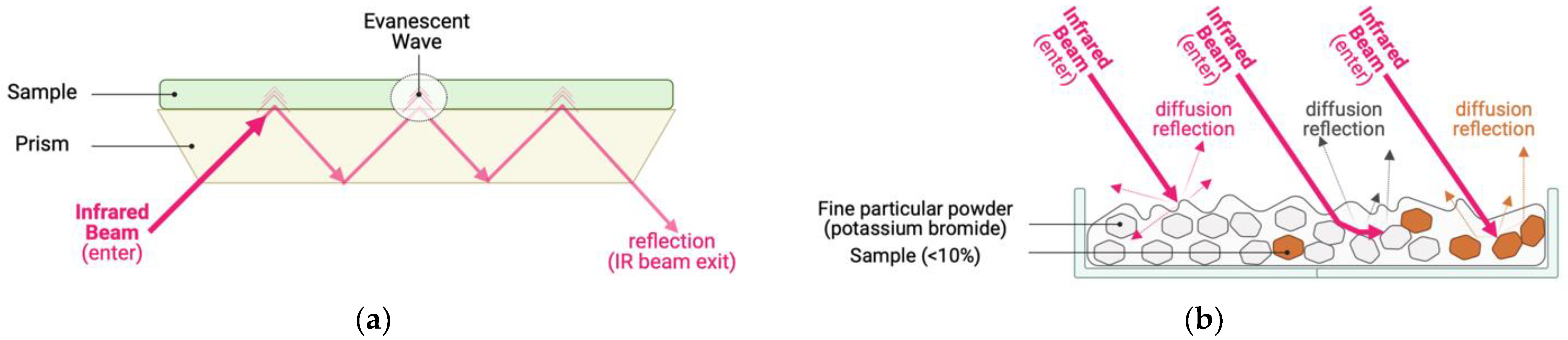 Ijms 24 06947 g003 Ijms 24 06947 g003