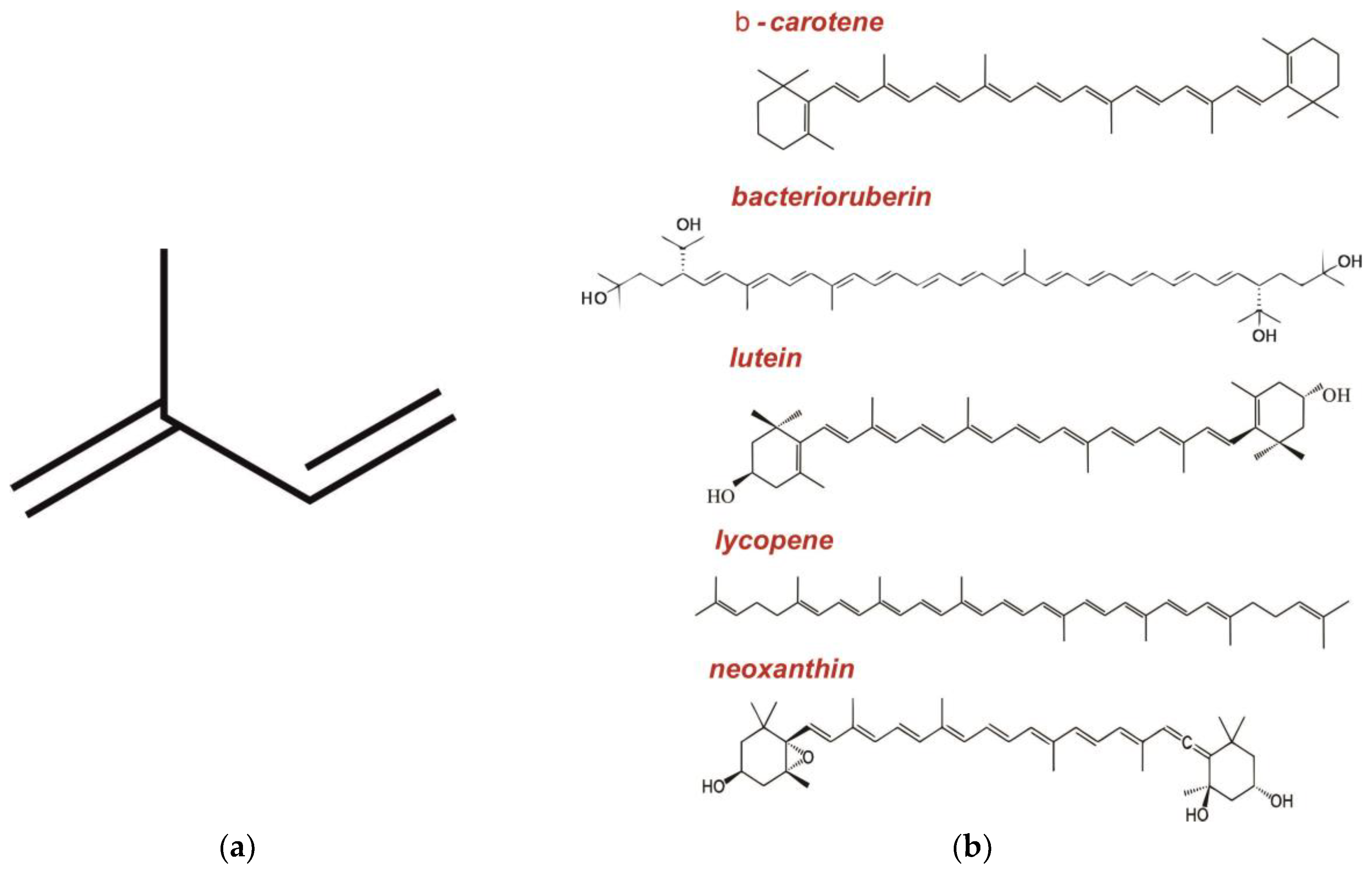 Ijms 24 06947 g004 Ijms 24 06947 g004