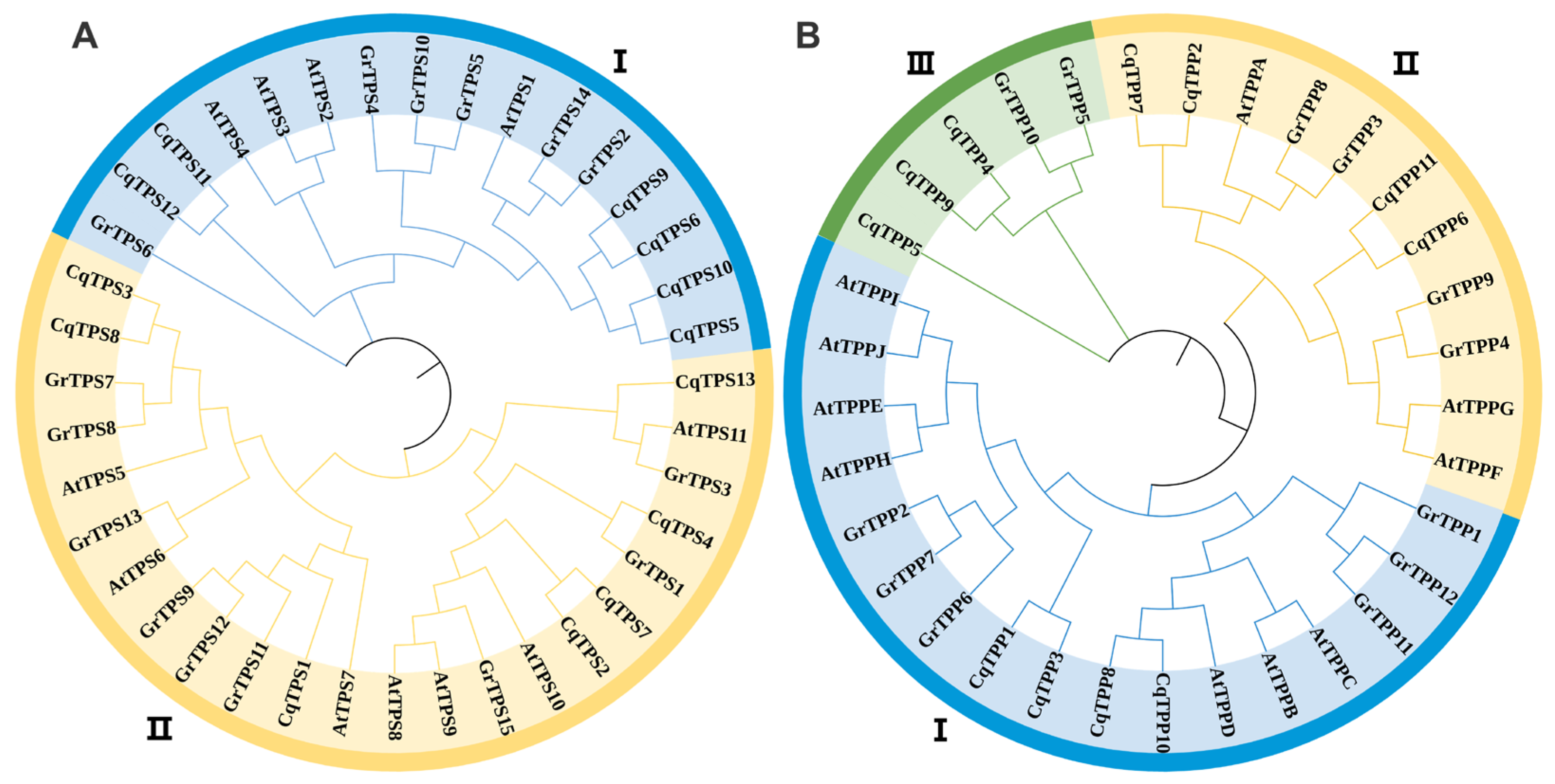 Ijms 24 06950 g001 Ijms 24 06950 g001