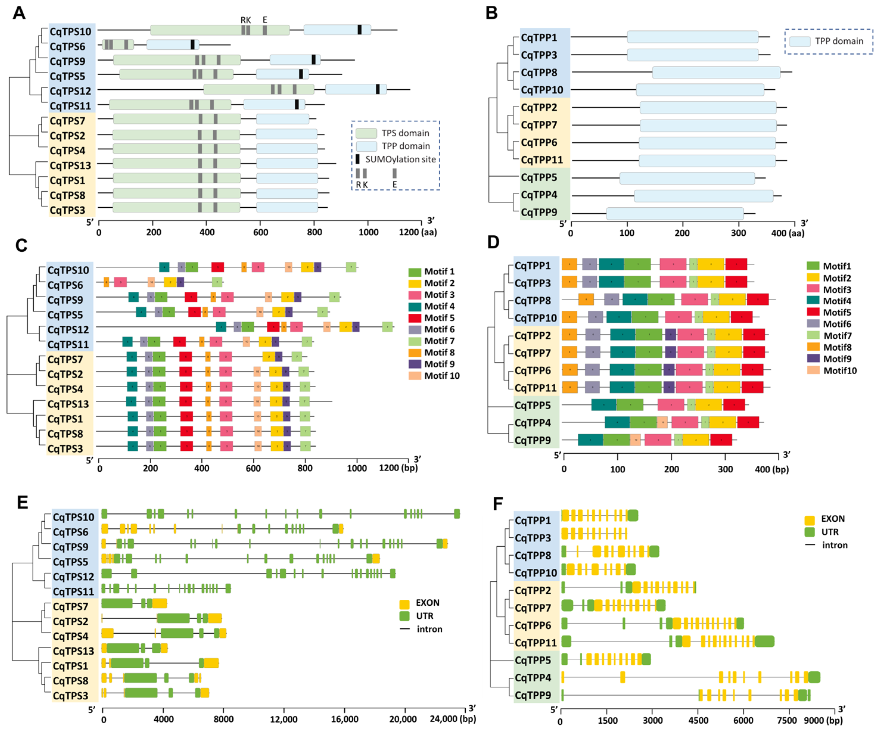 Ijms 24 06950 g002 Ijms 24 06950 g002
