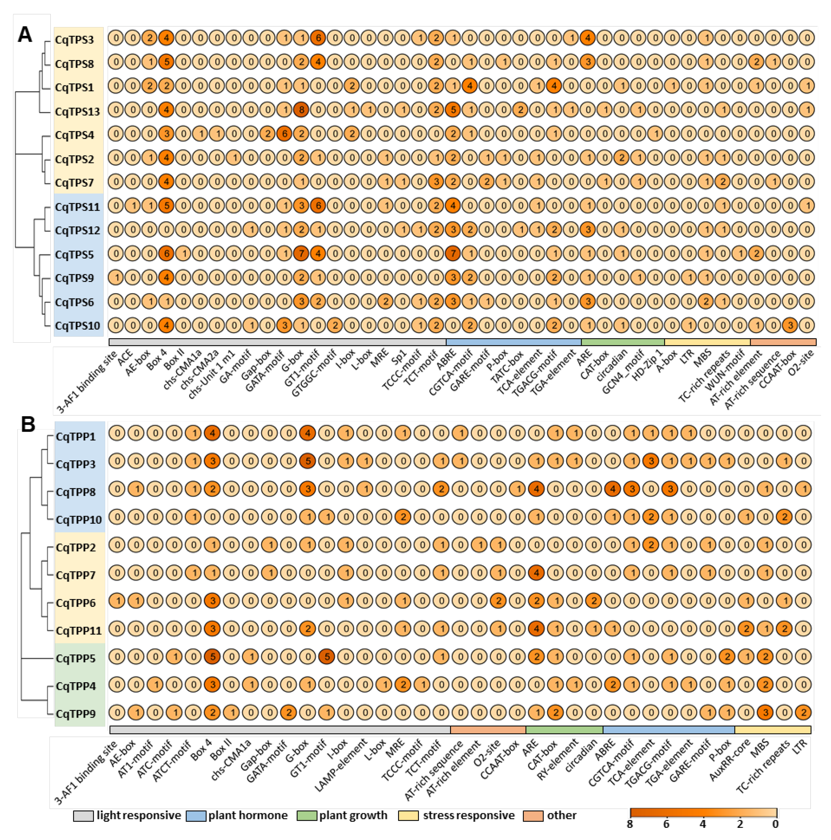 Ijms 24 06950 g003 Ijms 24 06950 g003