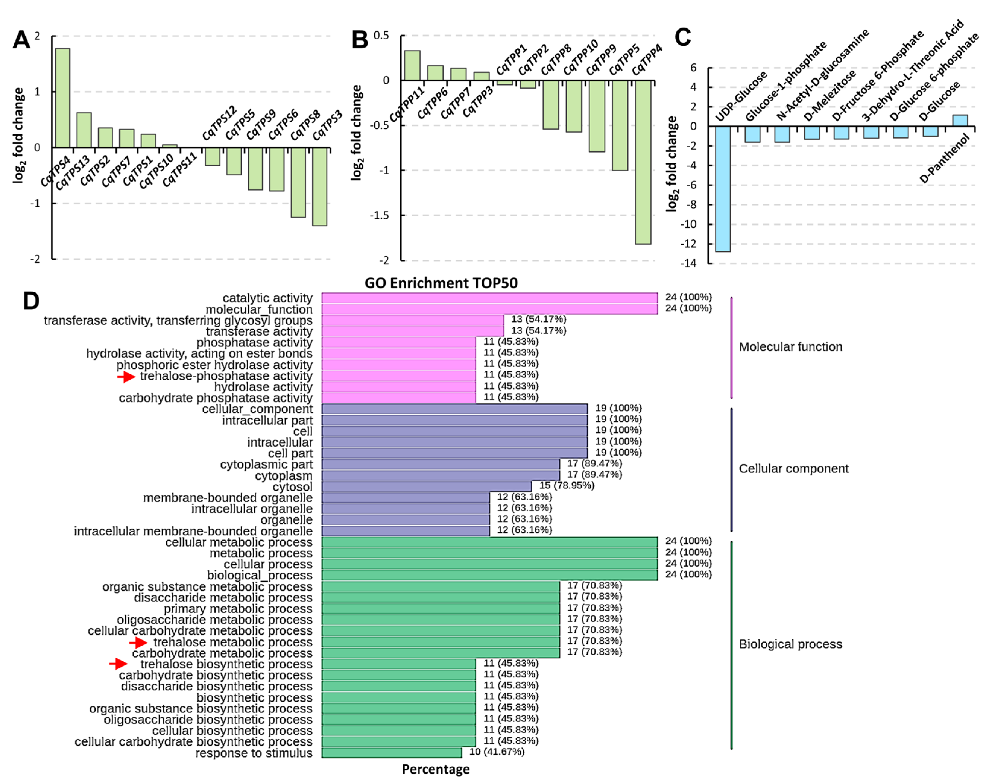 Ijms 24 06950 g004 Ijms 24 06950 g004