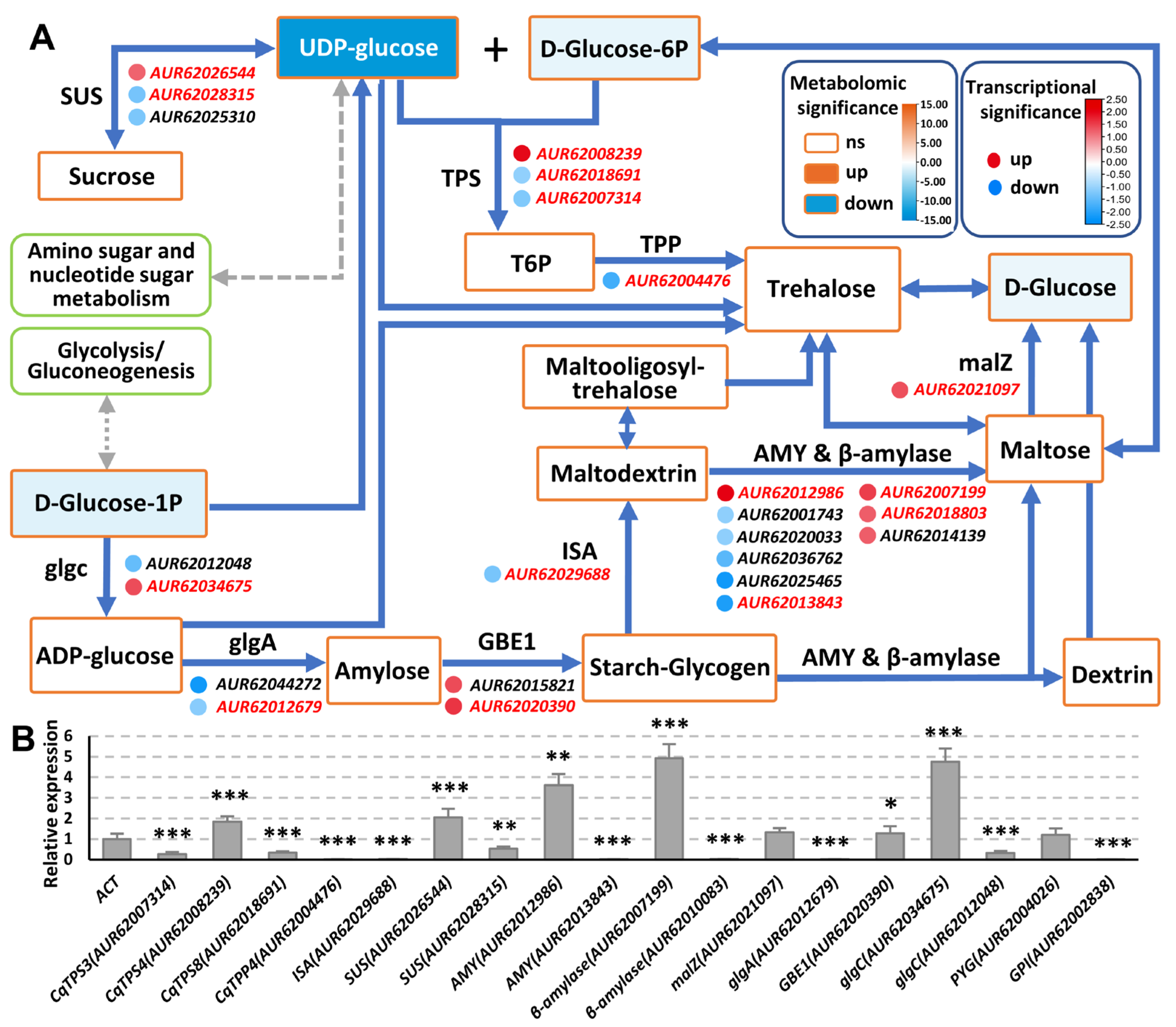 Ijms 24 06950 g005 Ijms 24 06950 g005