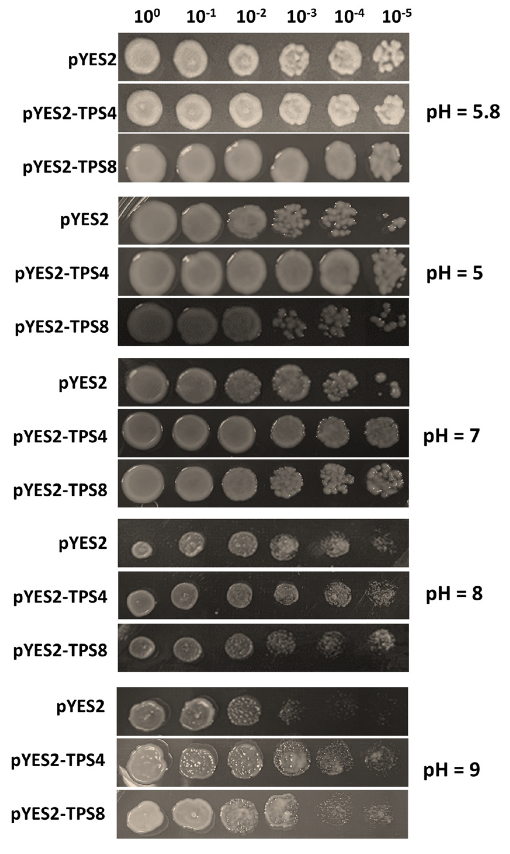 Ijms 24 06950 g006 Ijms 24 06950 g006