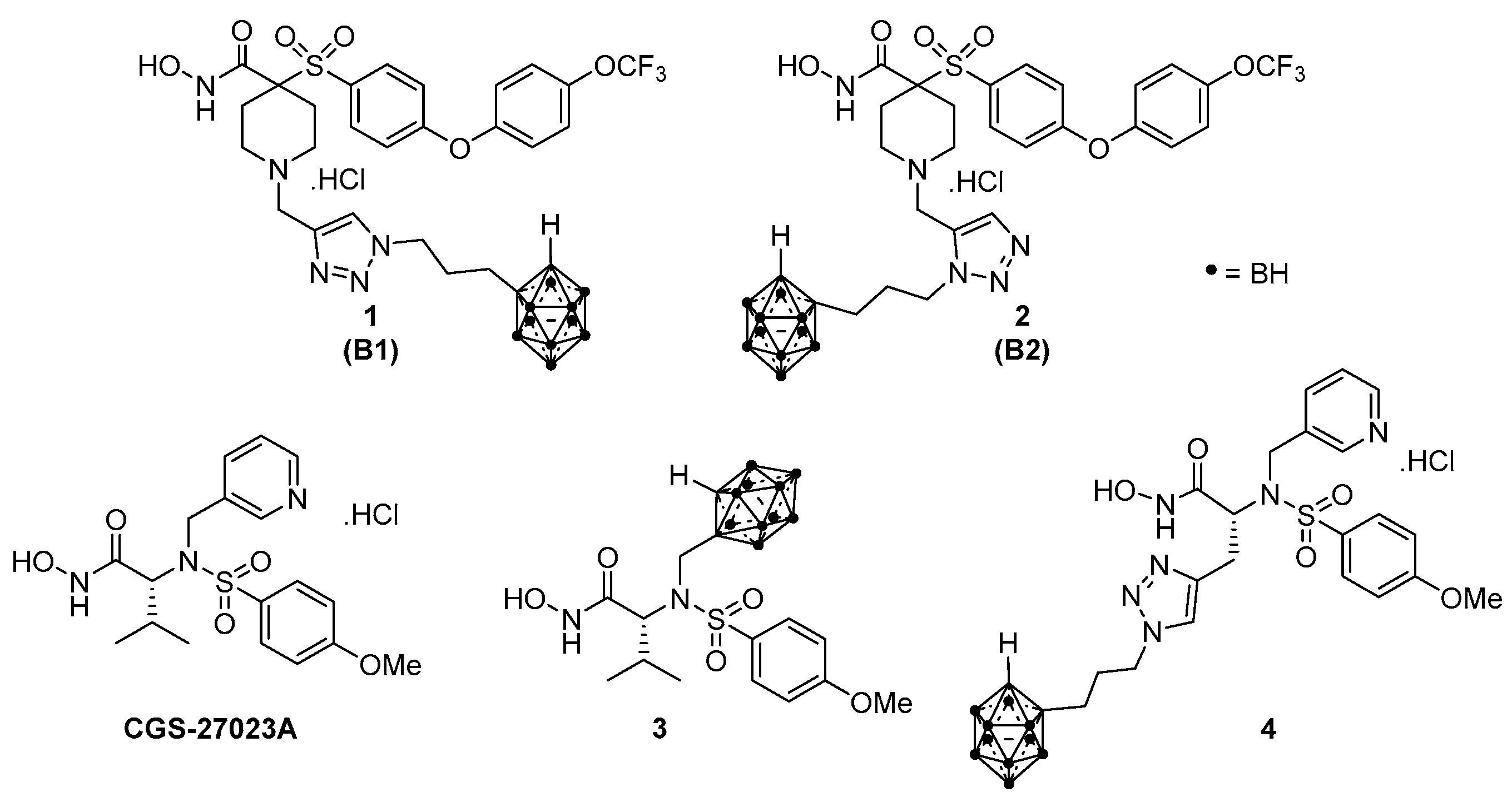 Ijms 24 06973 g001 Ijms 24 06973 g001