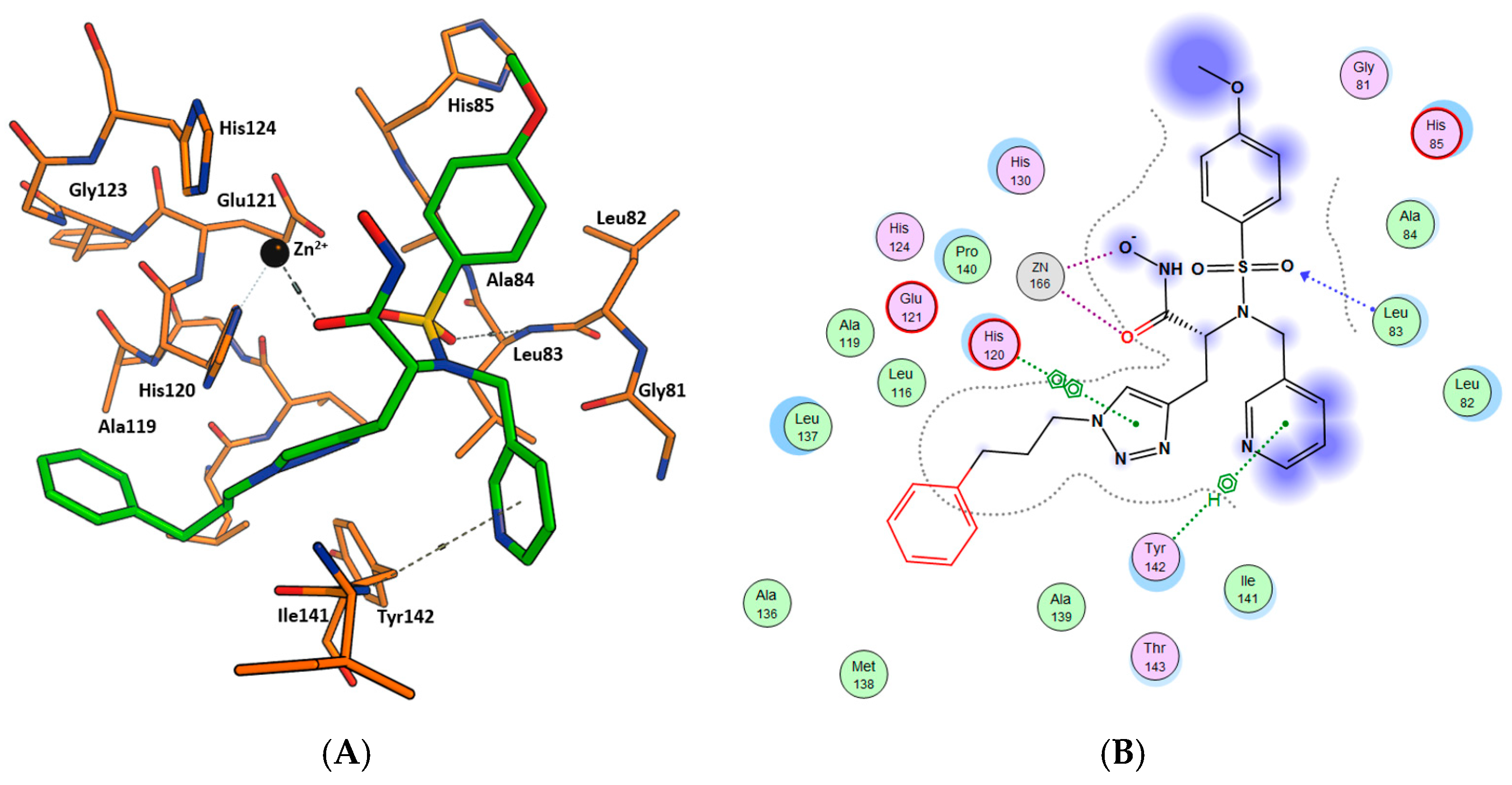 Ijms 24 06973 g004 Ijms 24 06973 g004